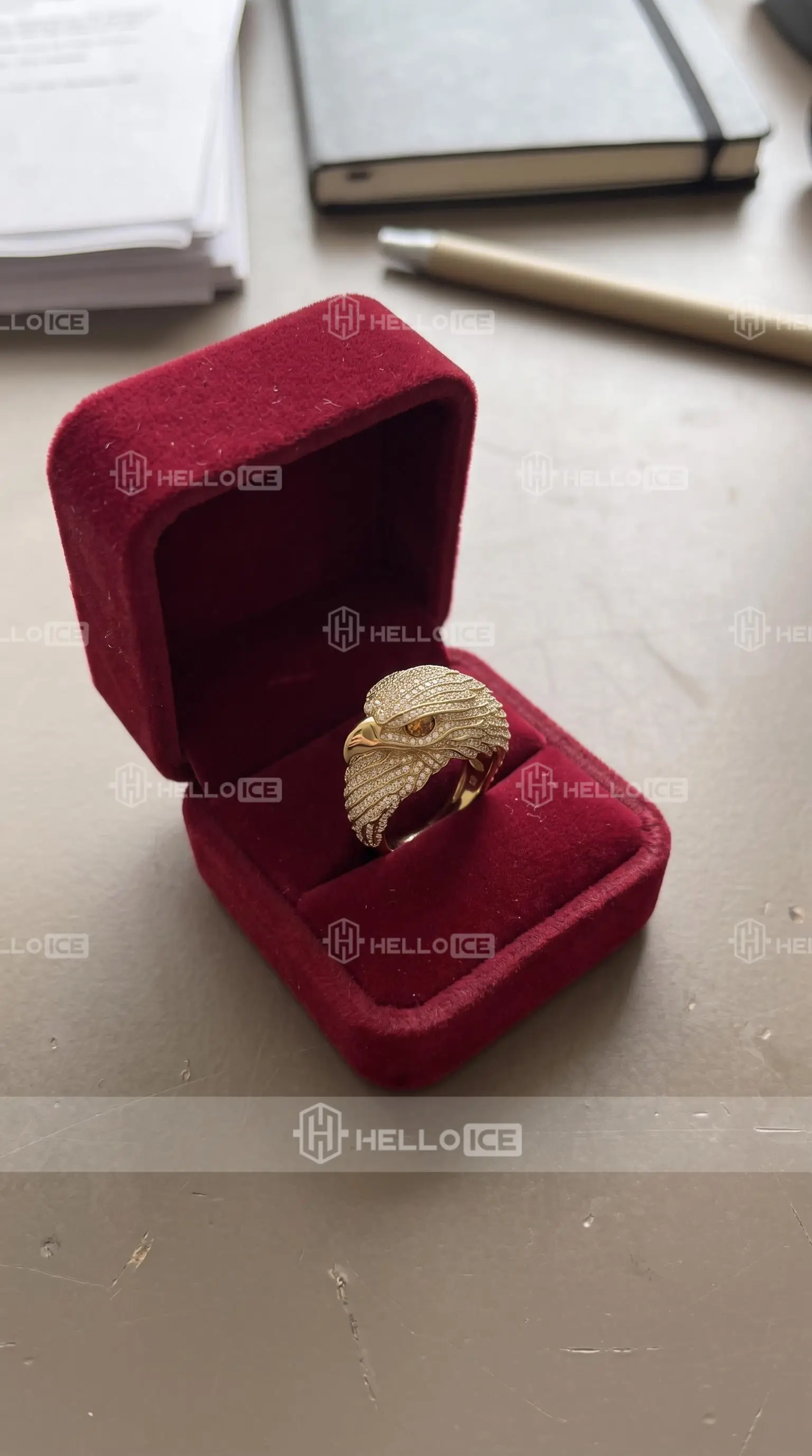 Helloice Review Image