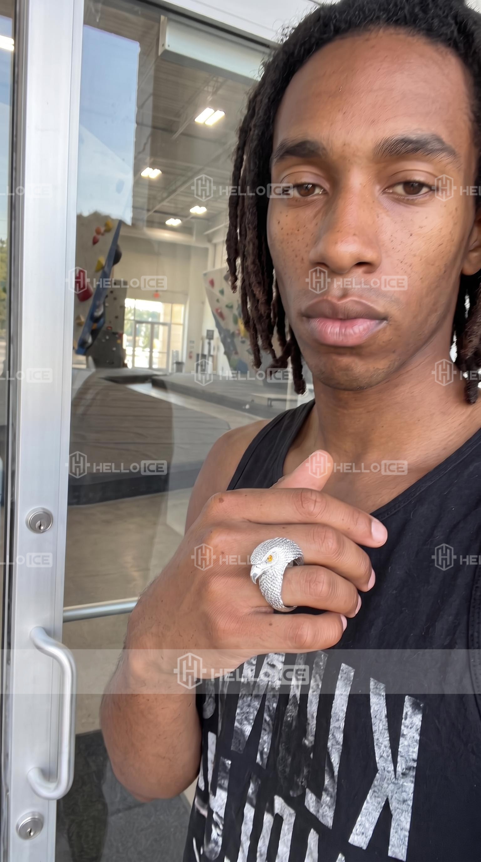 Helloice Review Image