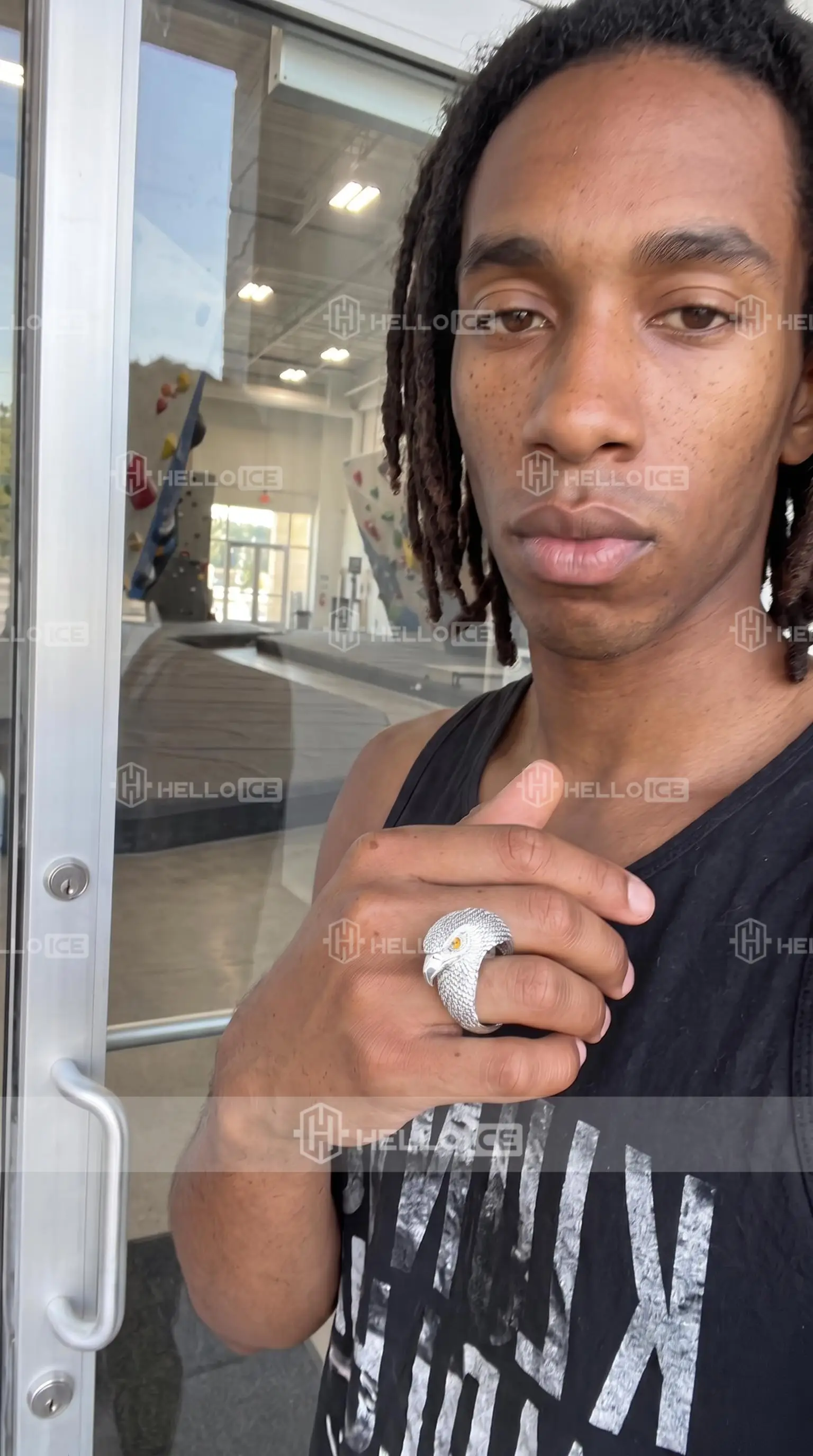Helloice Review Image