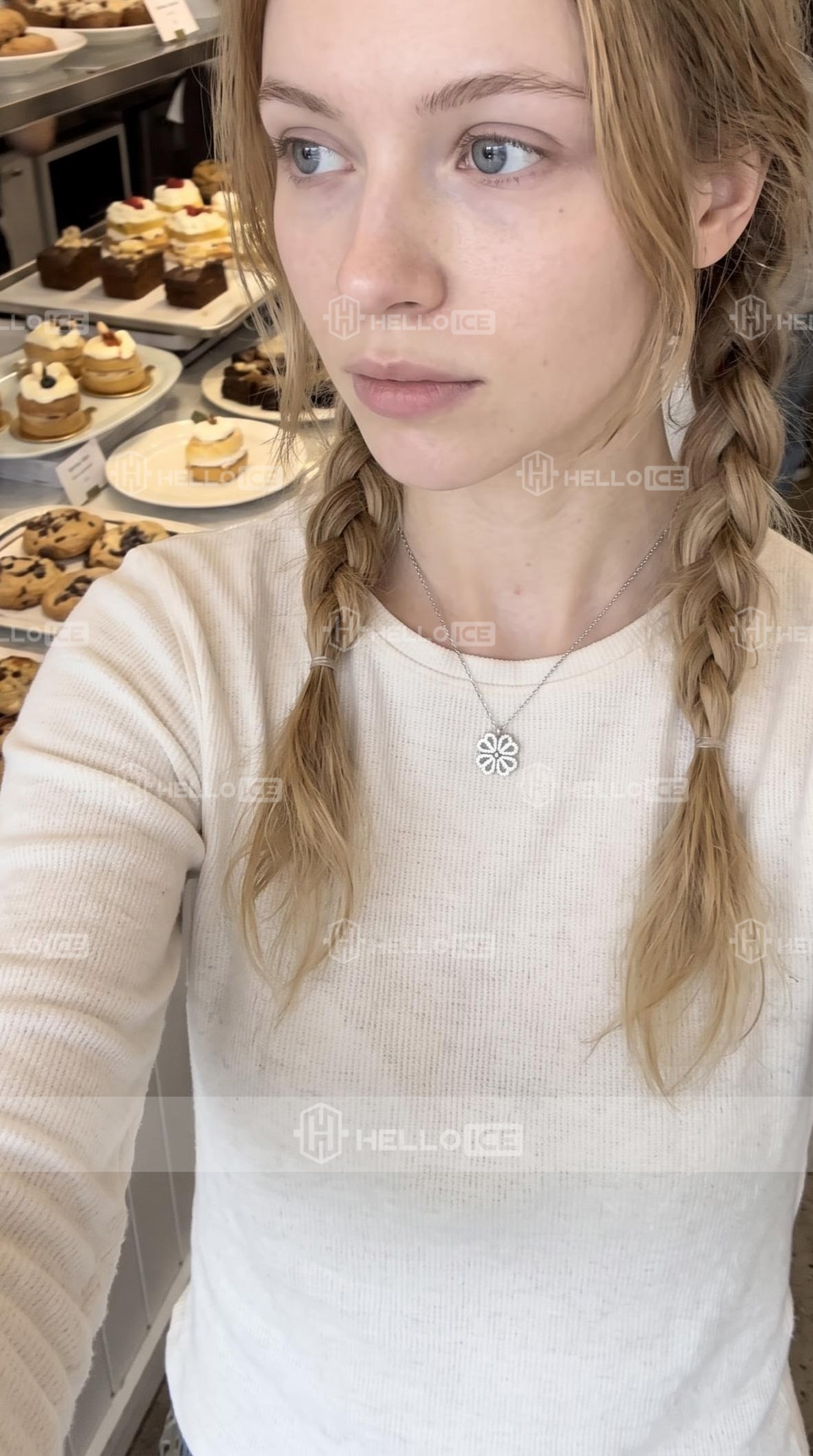 Helloice Review Image
