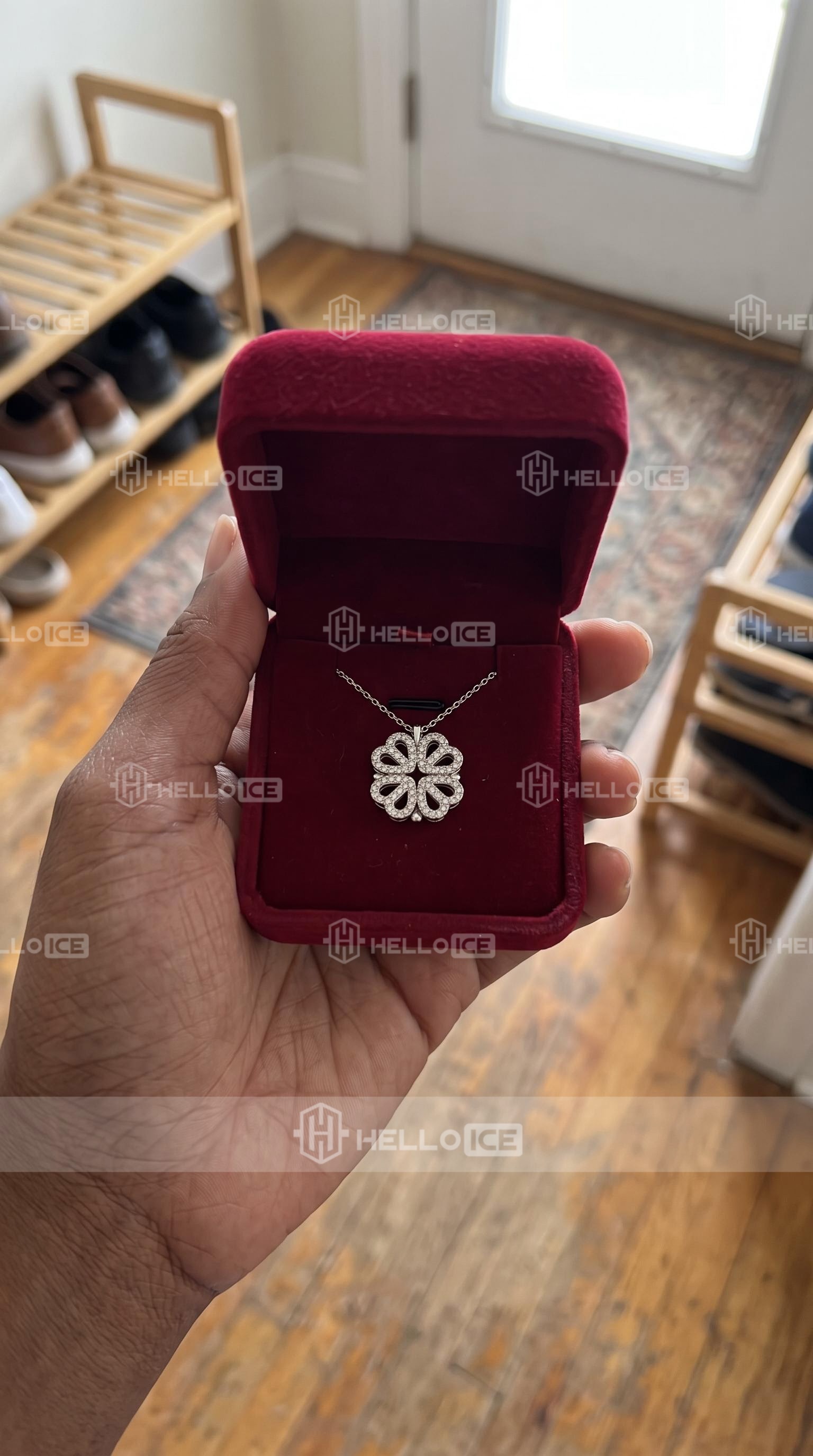 Helloice Review Image