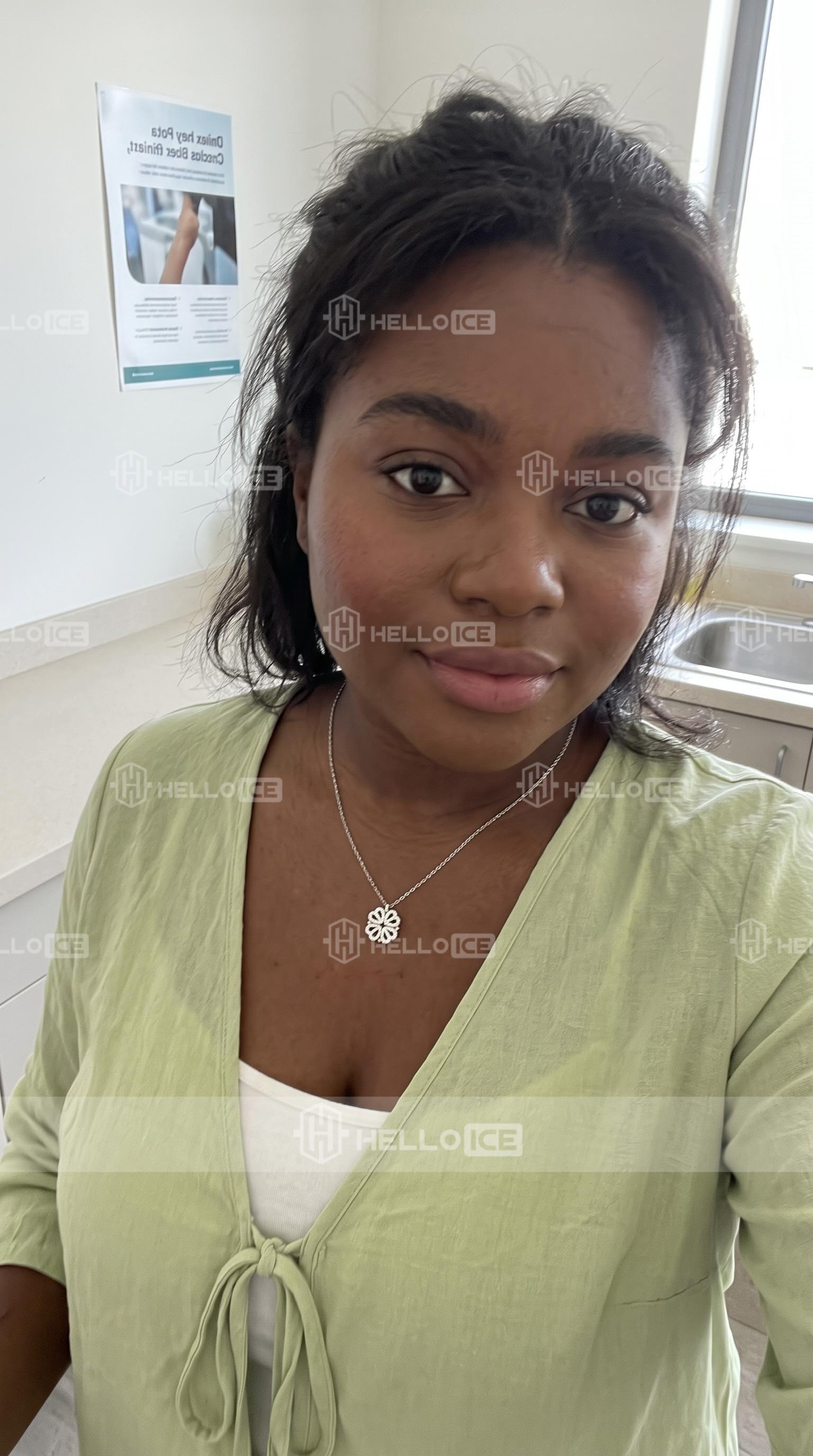 Helloice Review Image