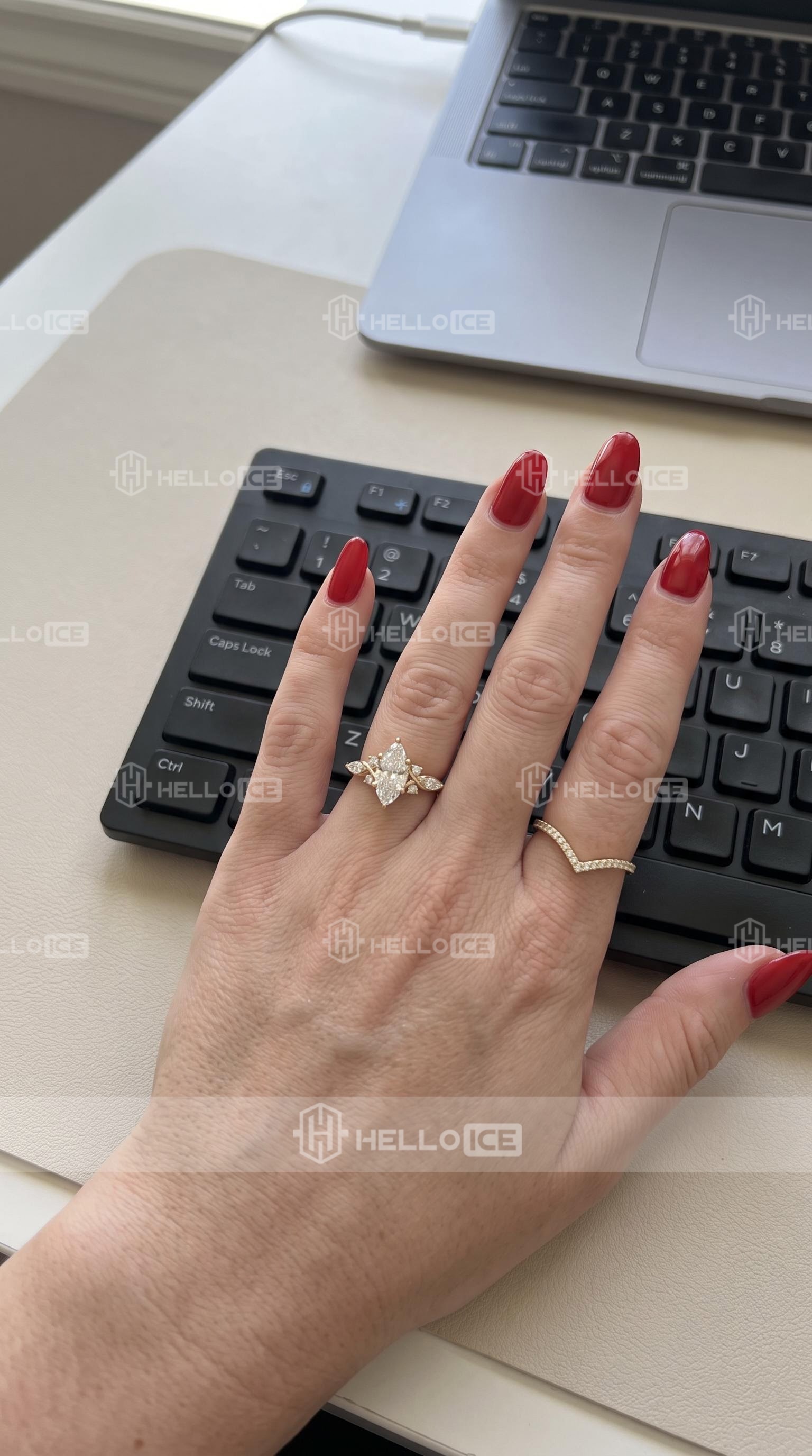 Helloice Review Image