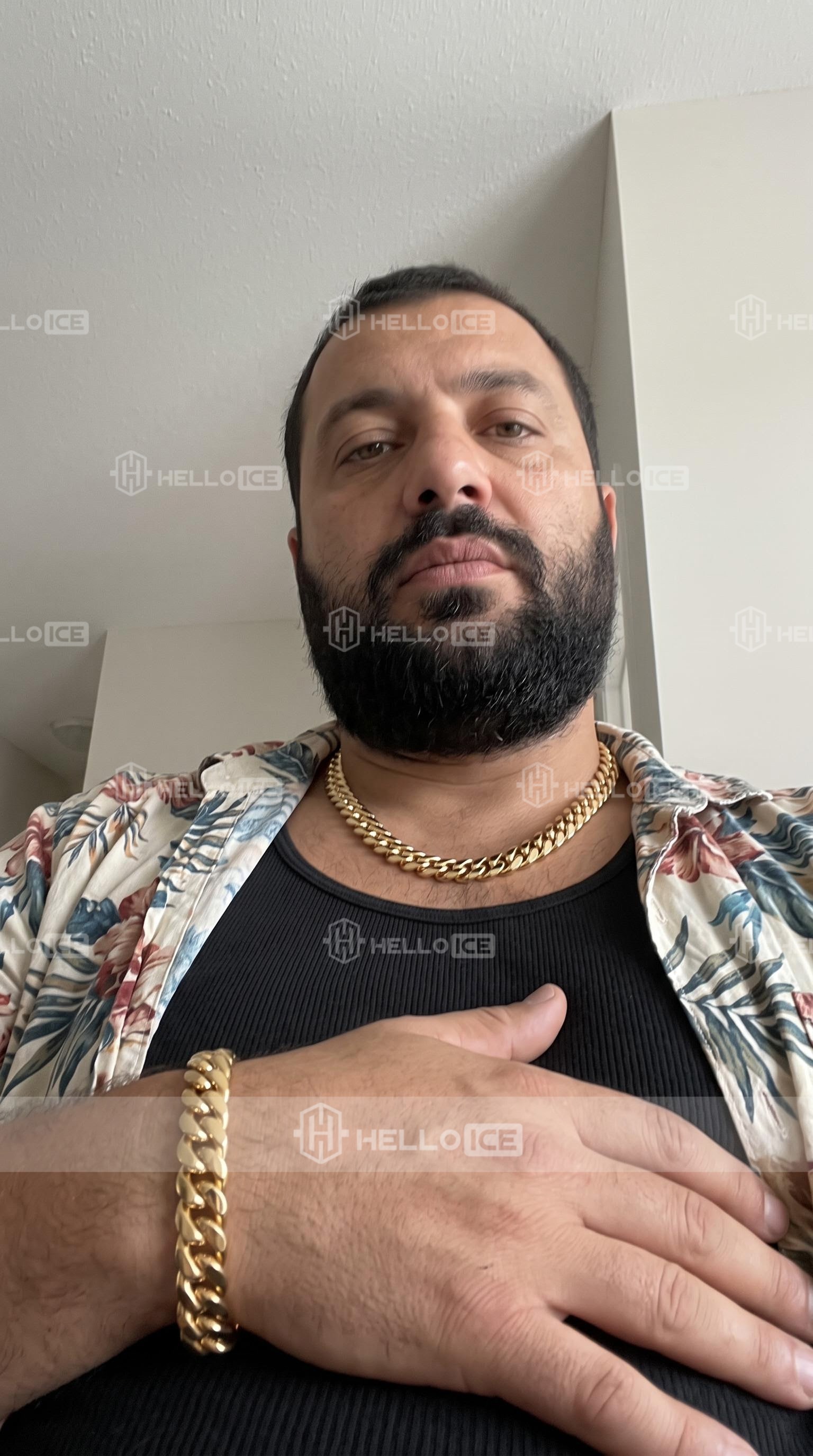 Helloice Review Image