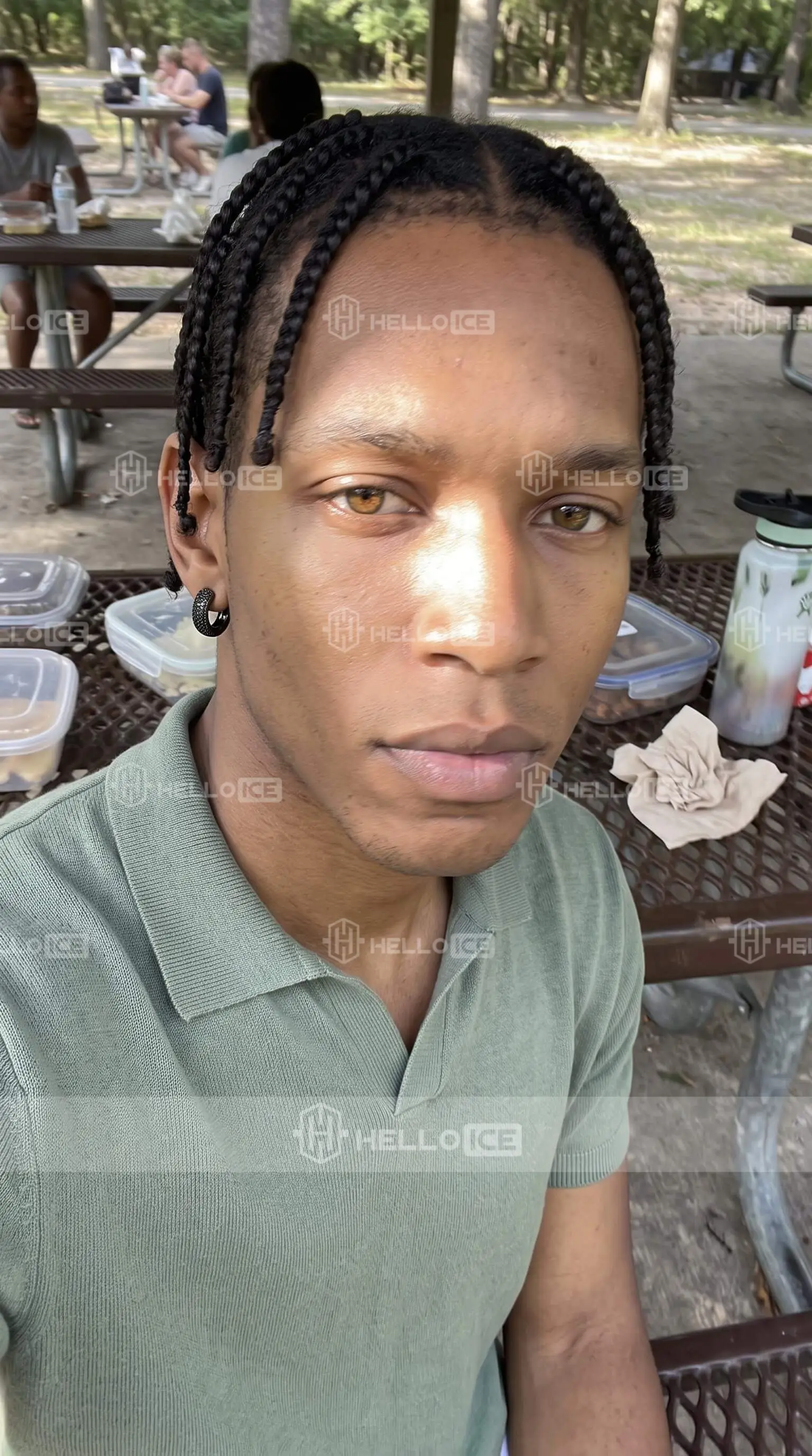 Helloice Review Image