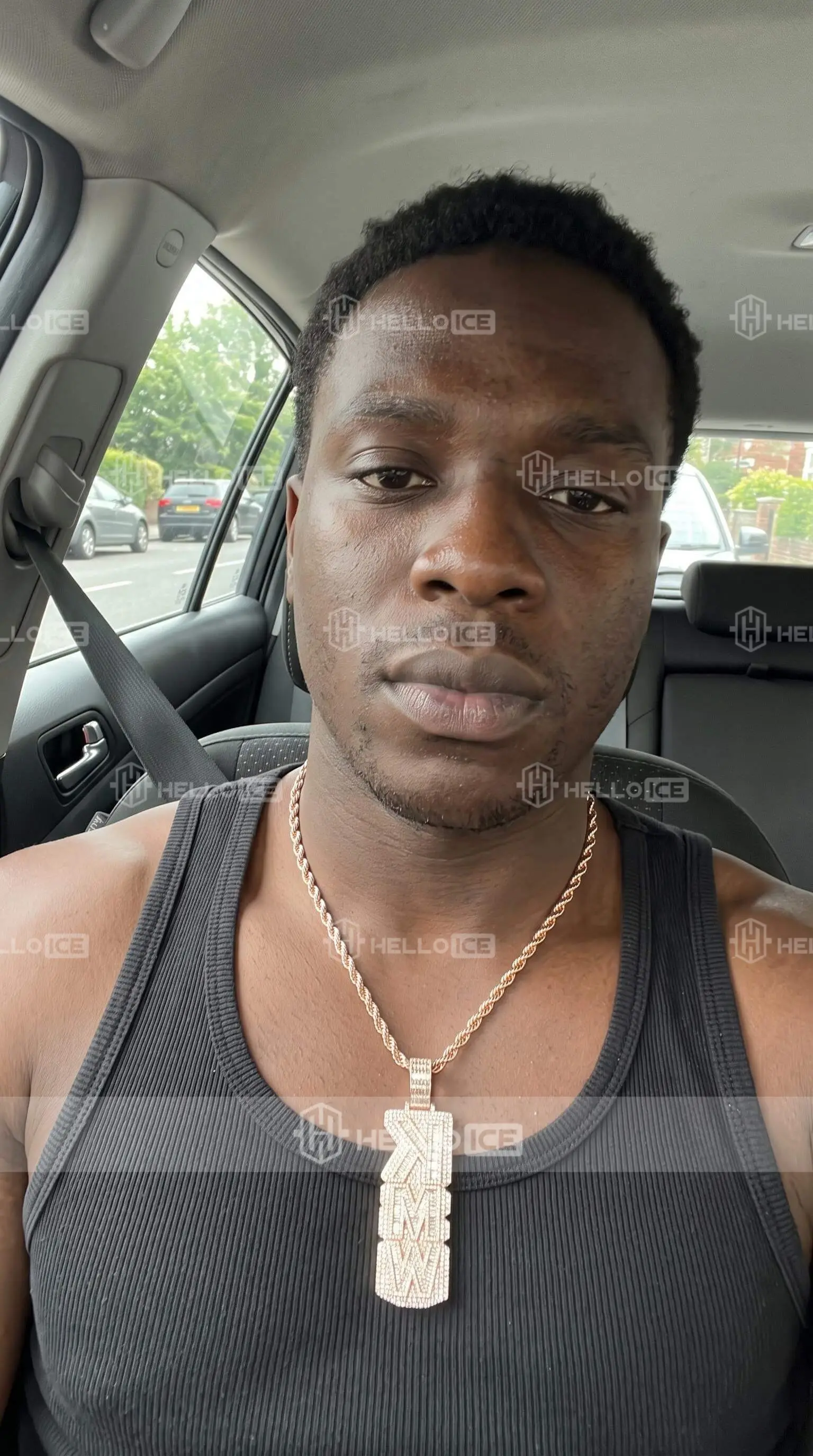 Helloice Review Image