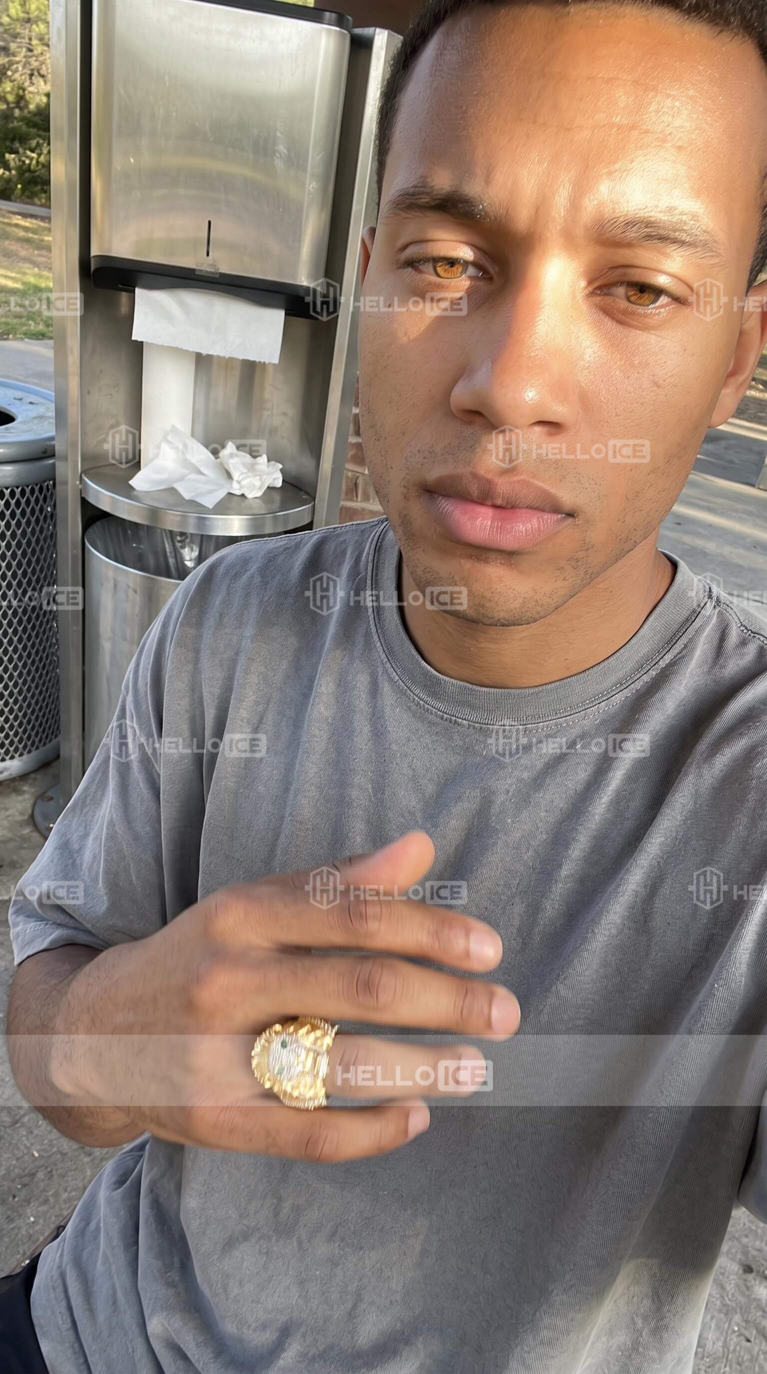 Helloice Review Image