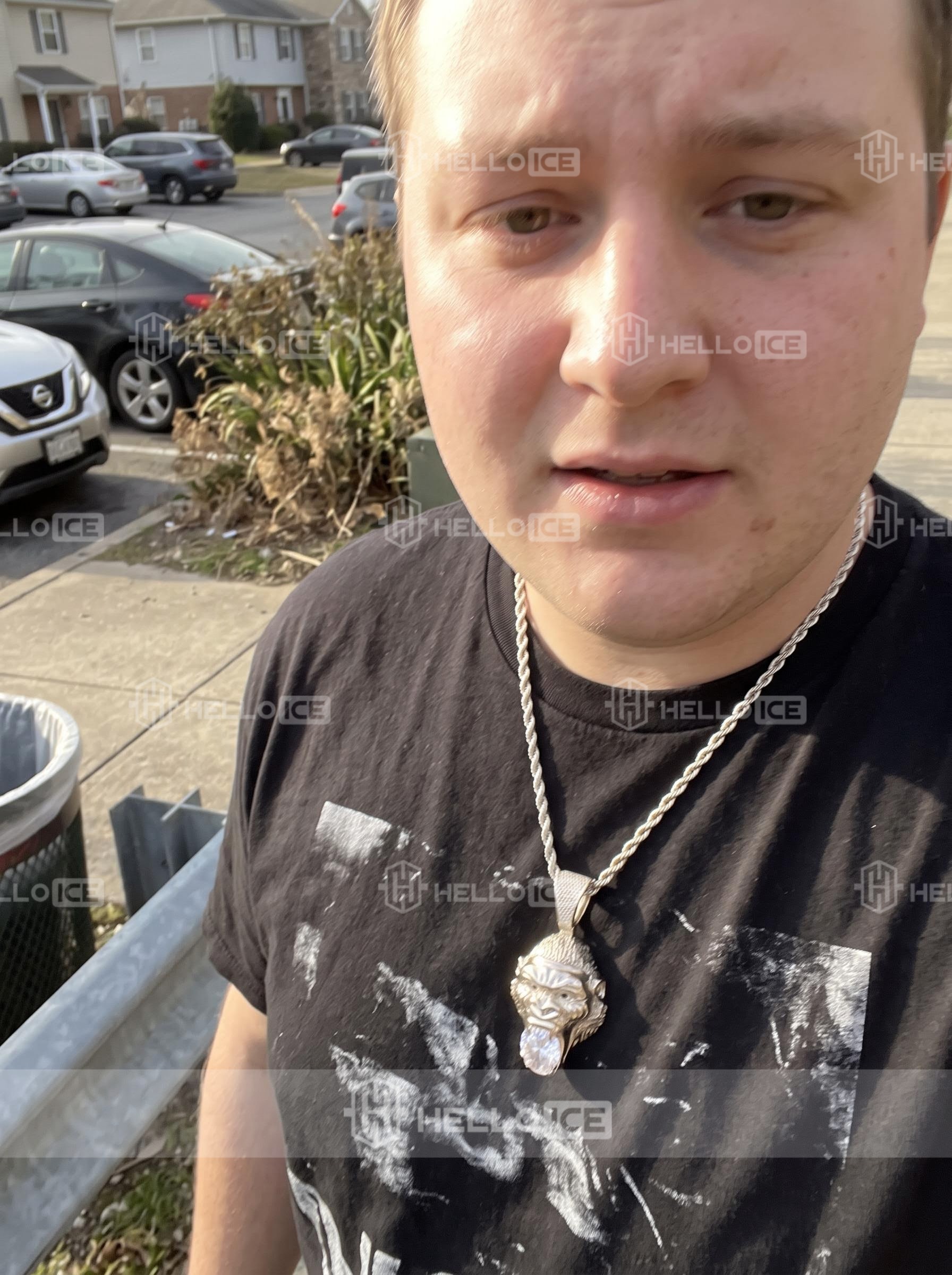Helloice Review Image