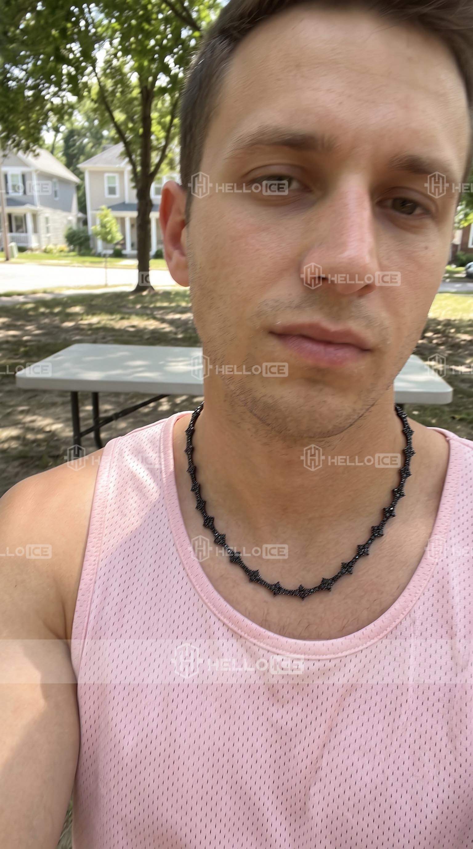 Helloice Review Image