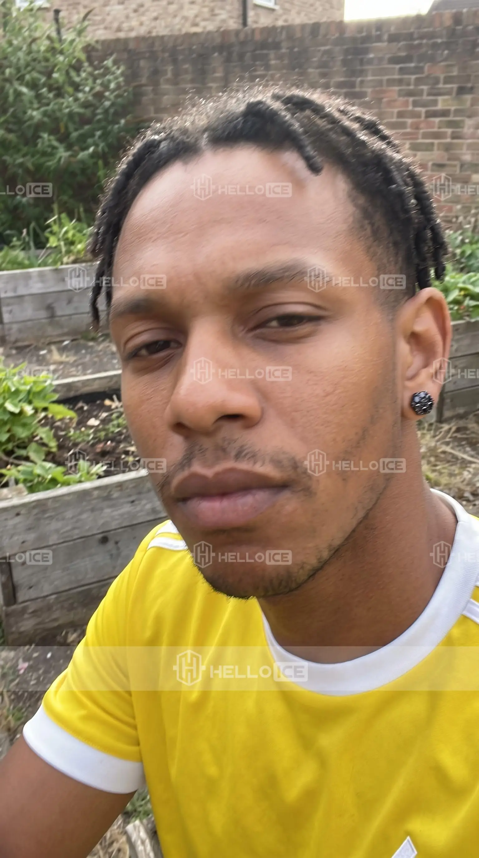 Helloice Review Image