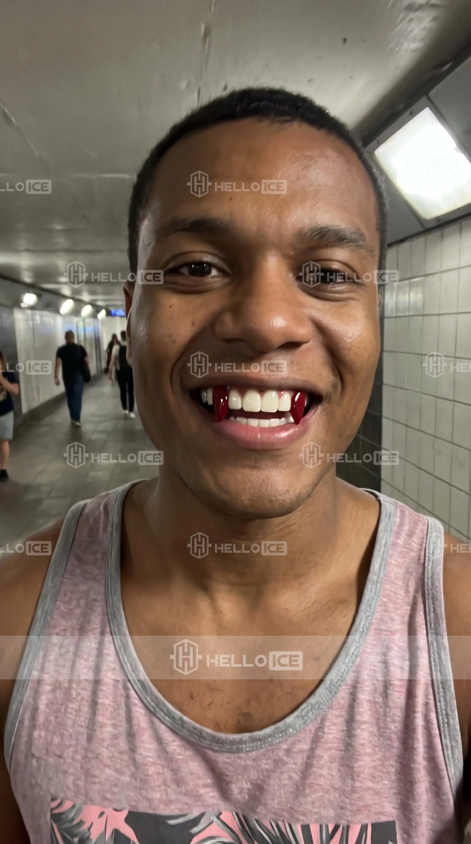 Helloice Review Image