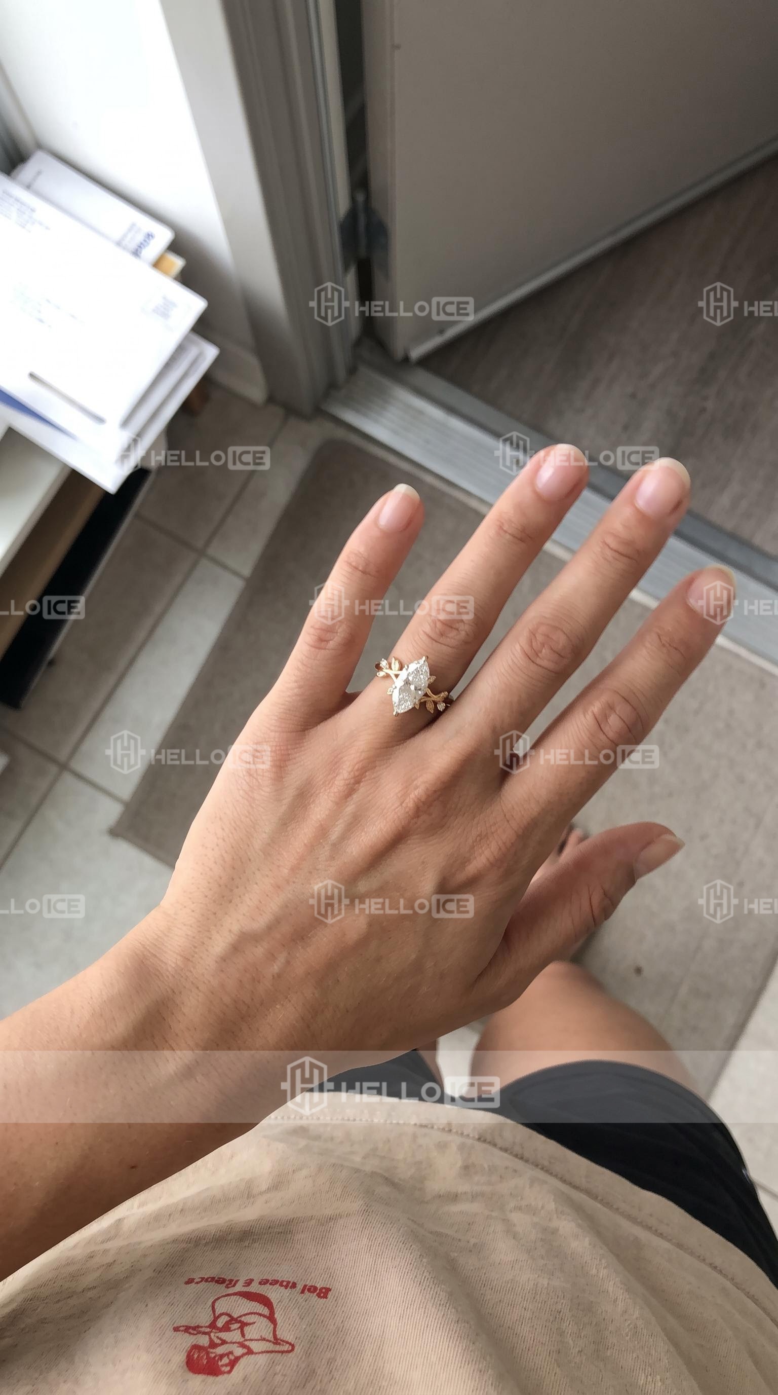 Helloice Review Image