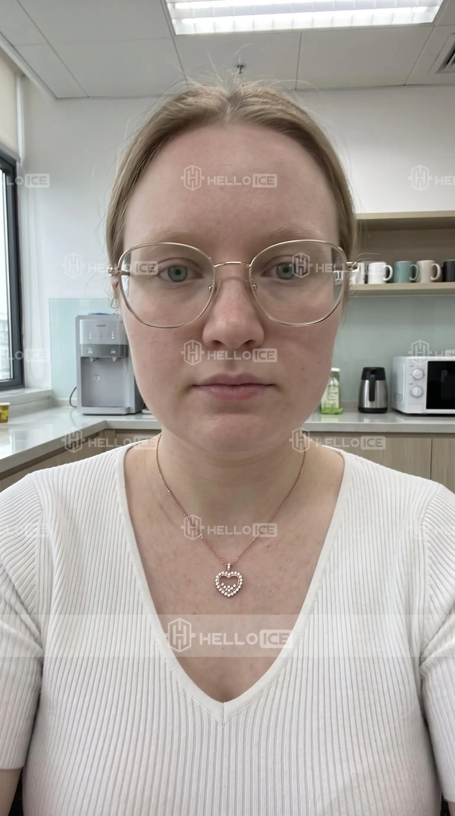 Helloice Review Image