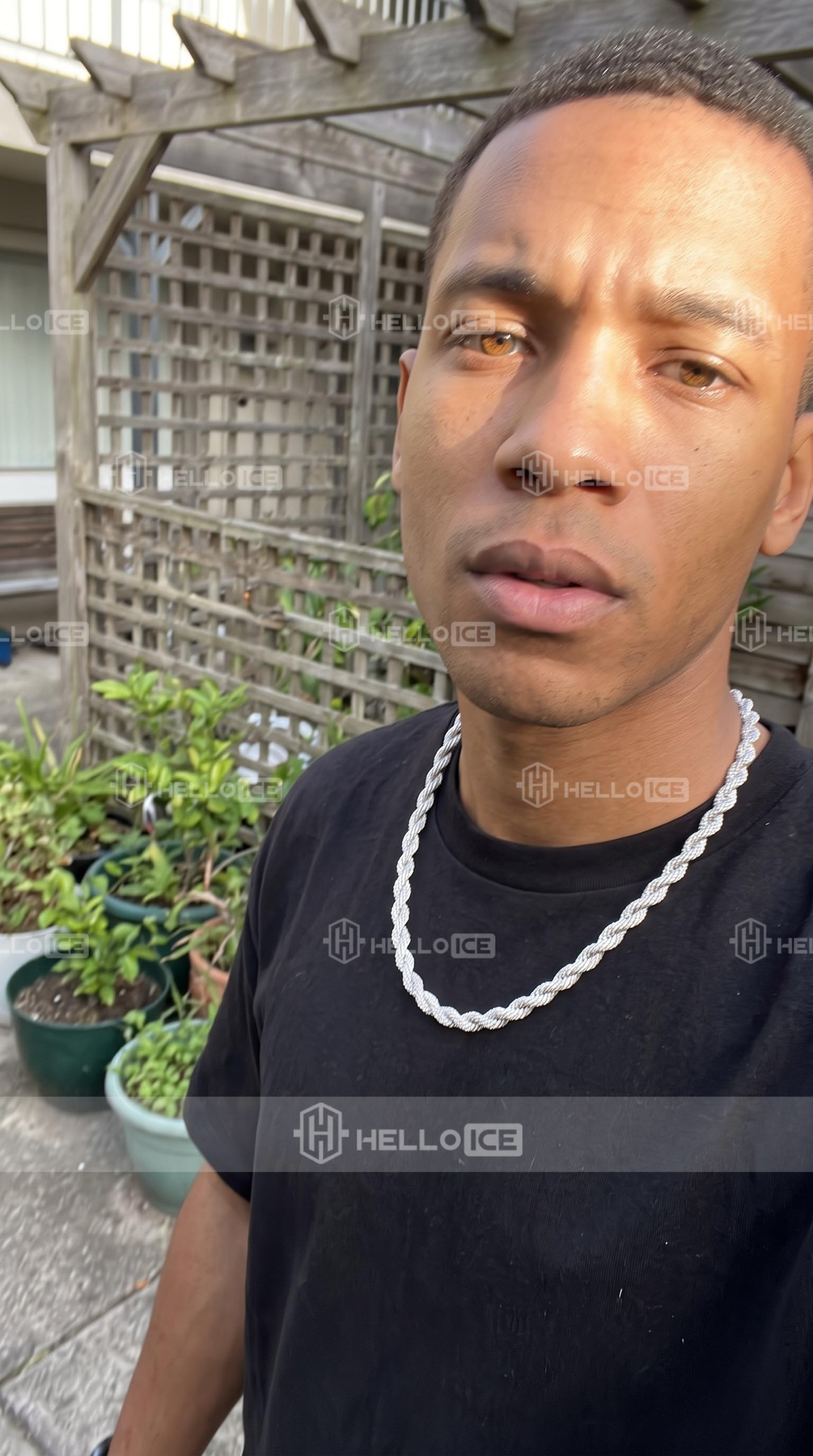 Helloice Review Image
