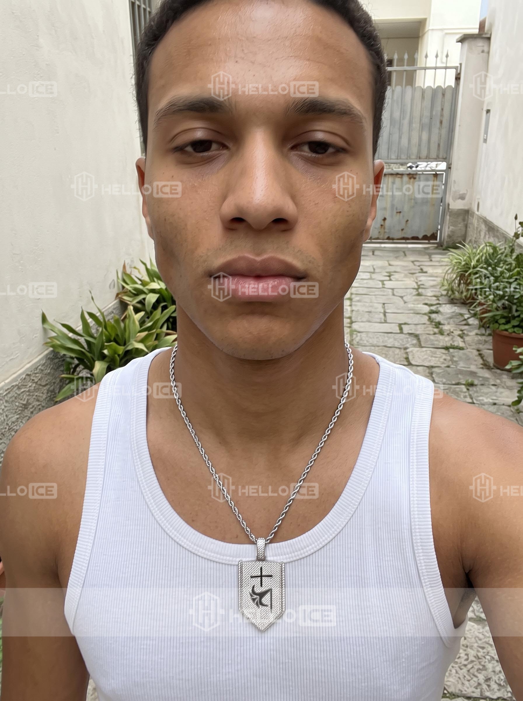 Helloice Review Image