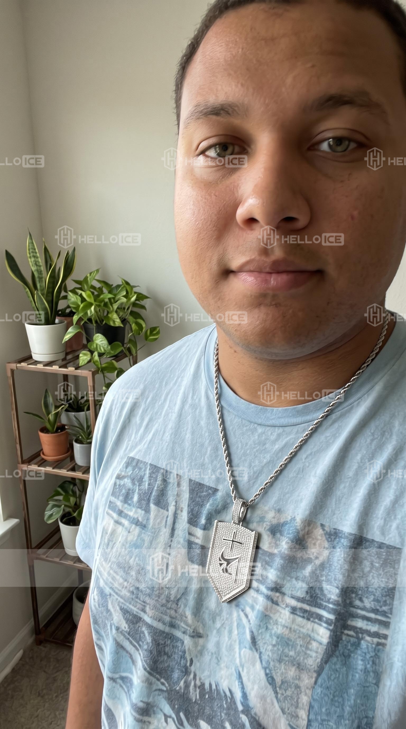 Helloice Review Image