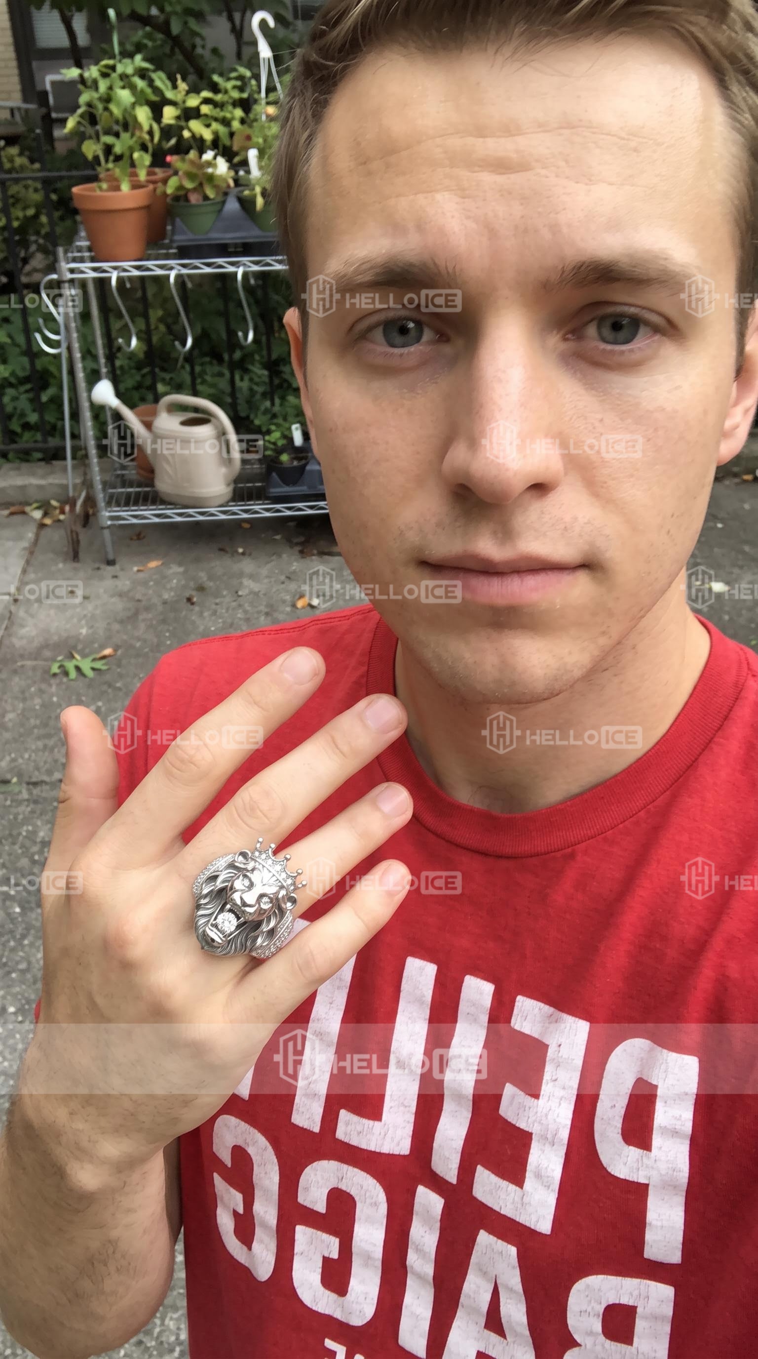 Helloice Review Image