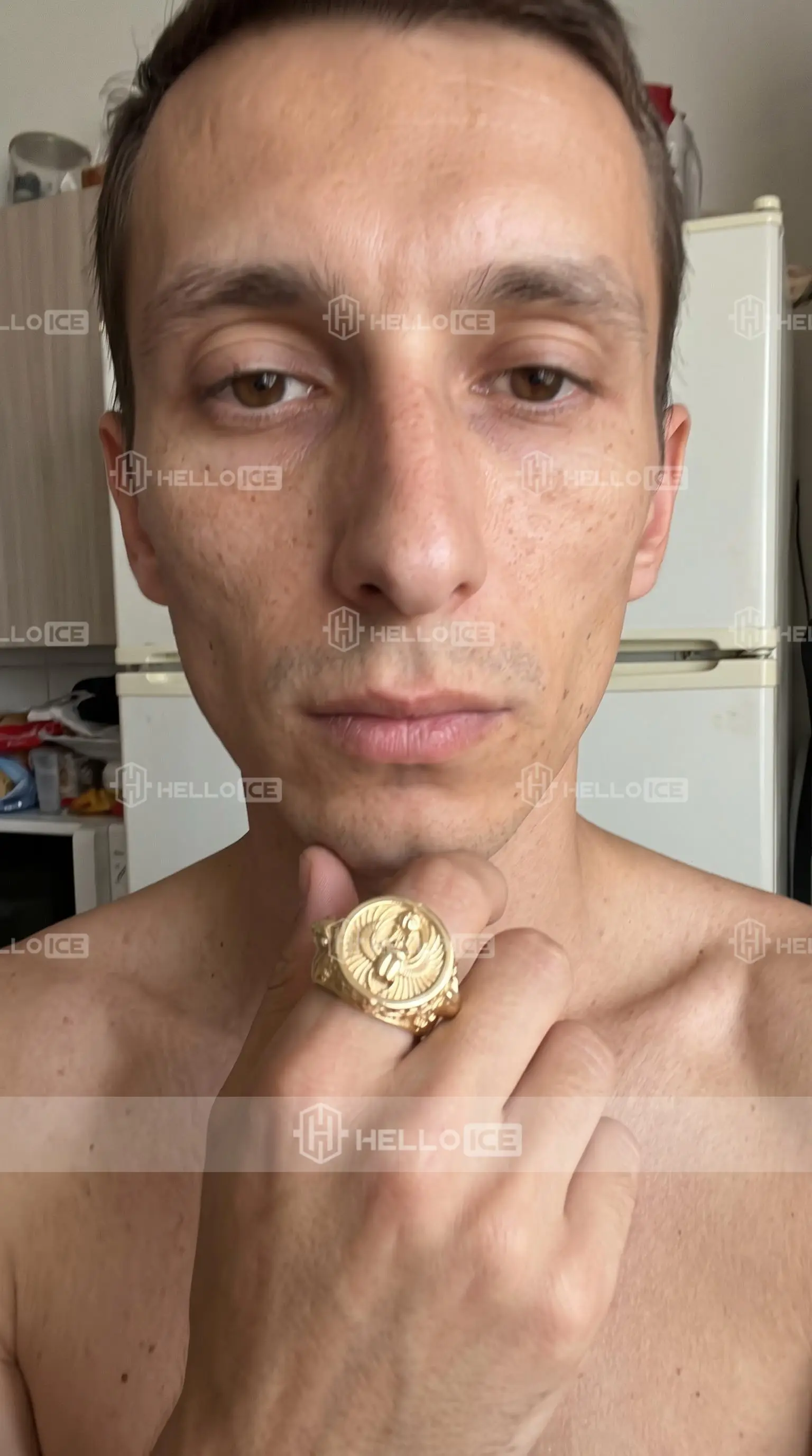 Helloice Review Image