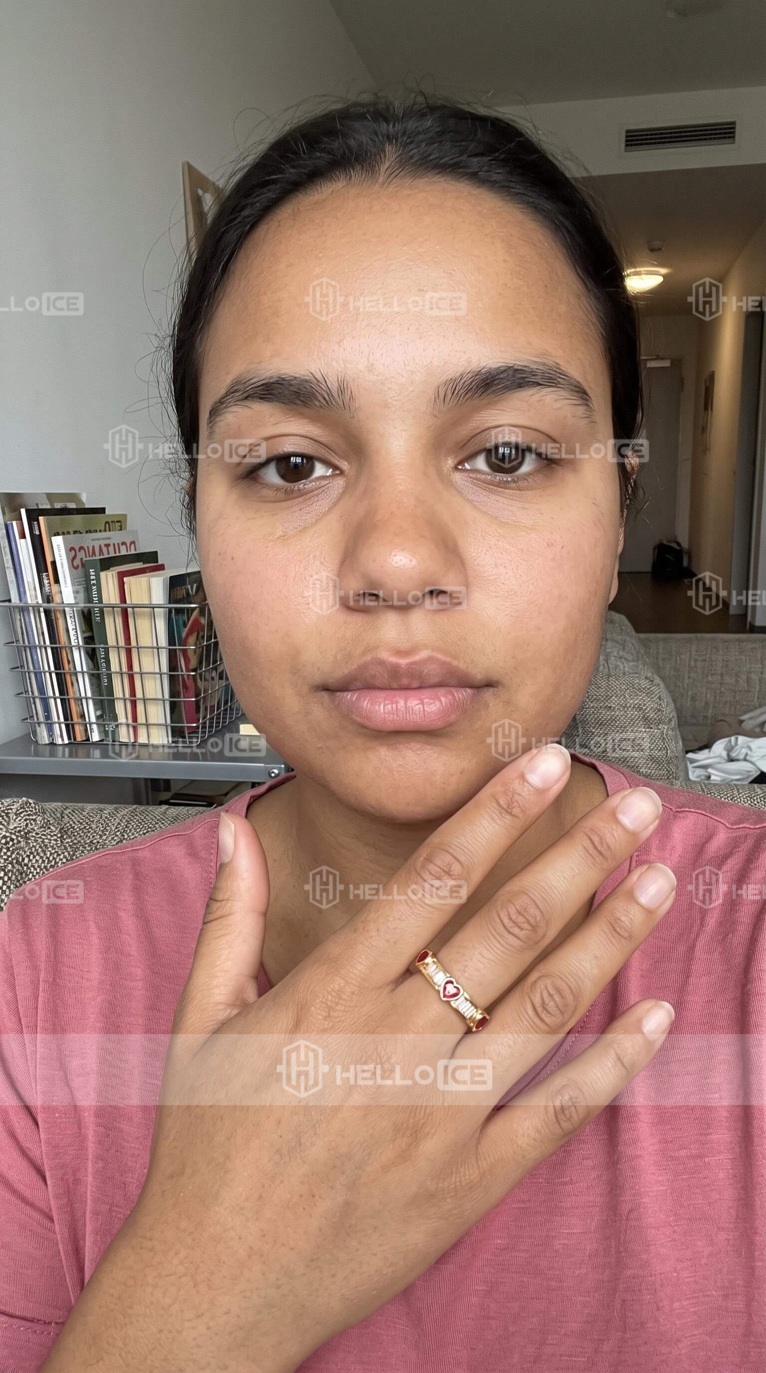 Helloice Review Image
