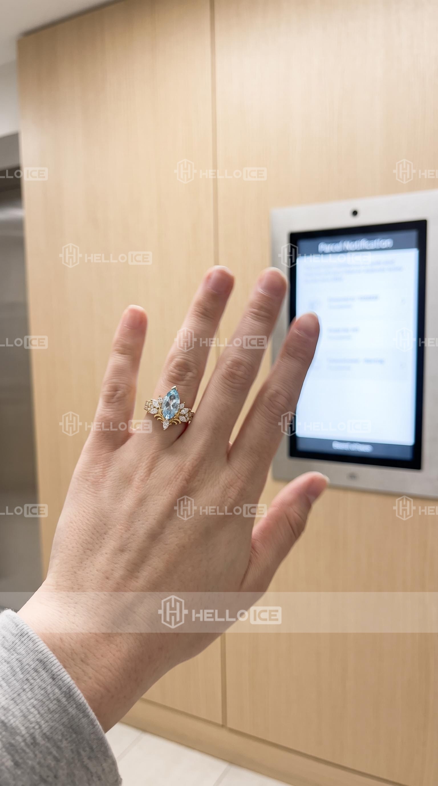 Helloice Review Image