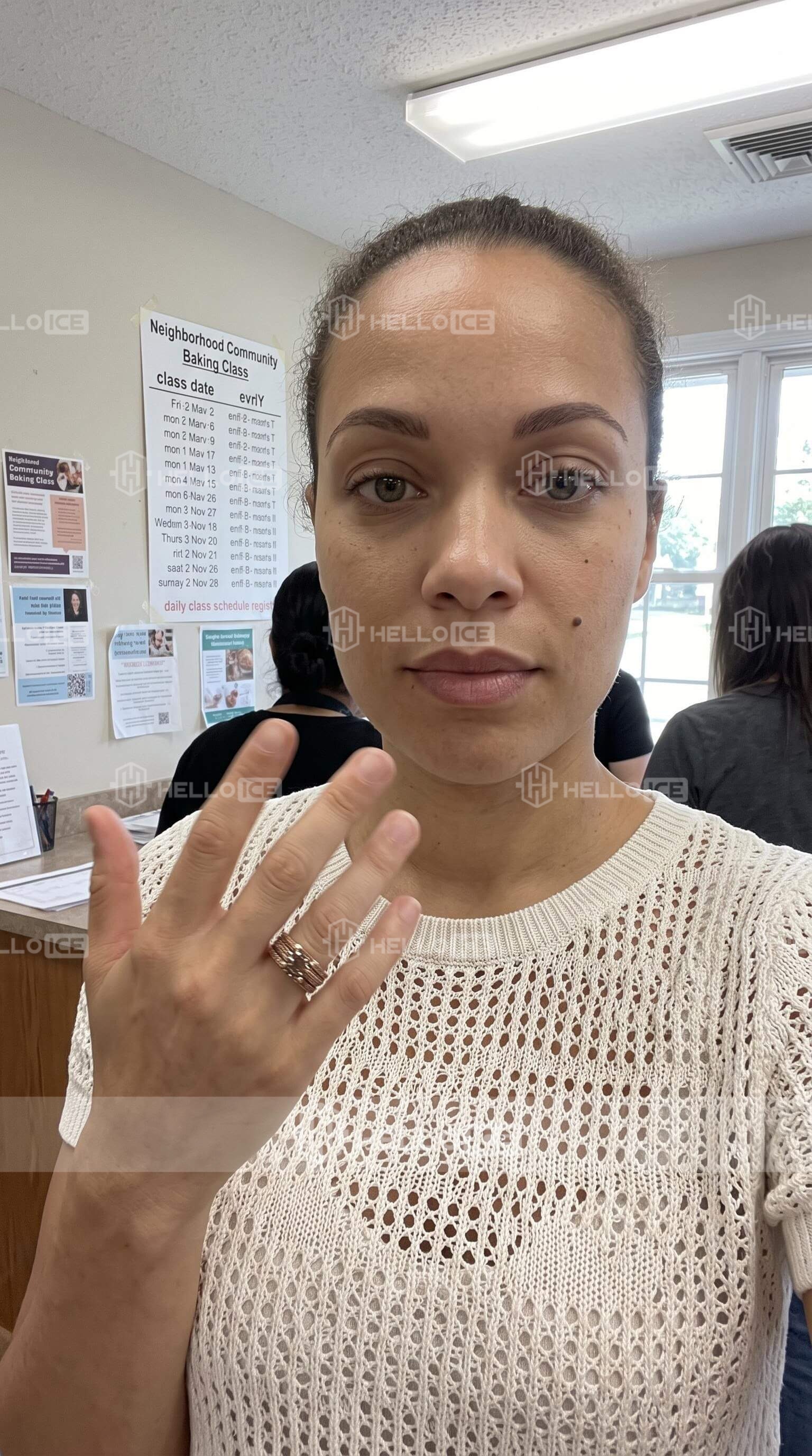 Helloice Review Image