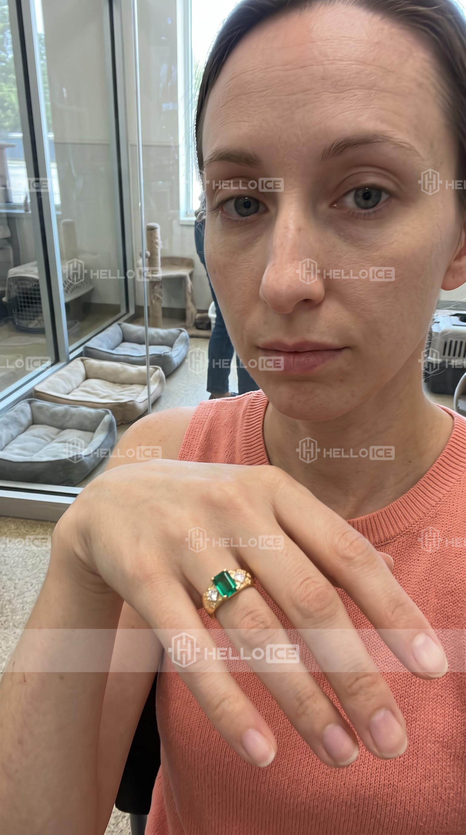 Helloice Review Image
