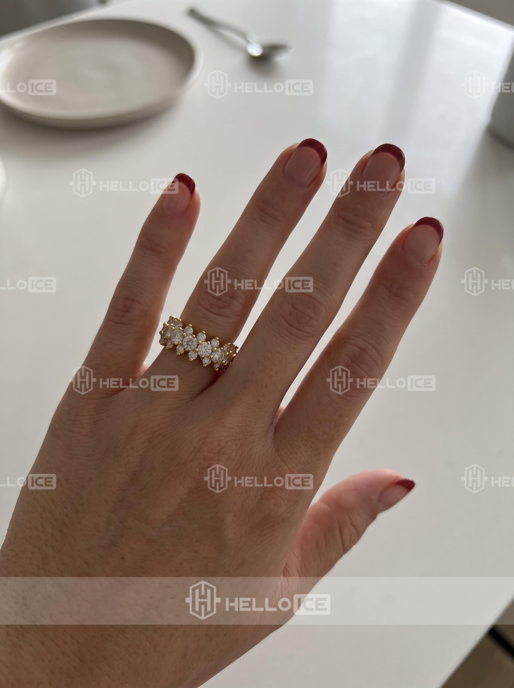 Helloice Review Image