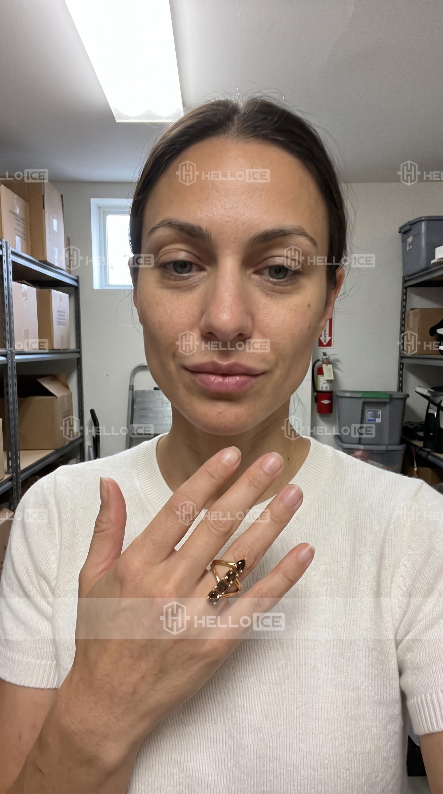 Helloice Review Image
