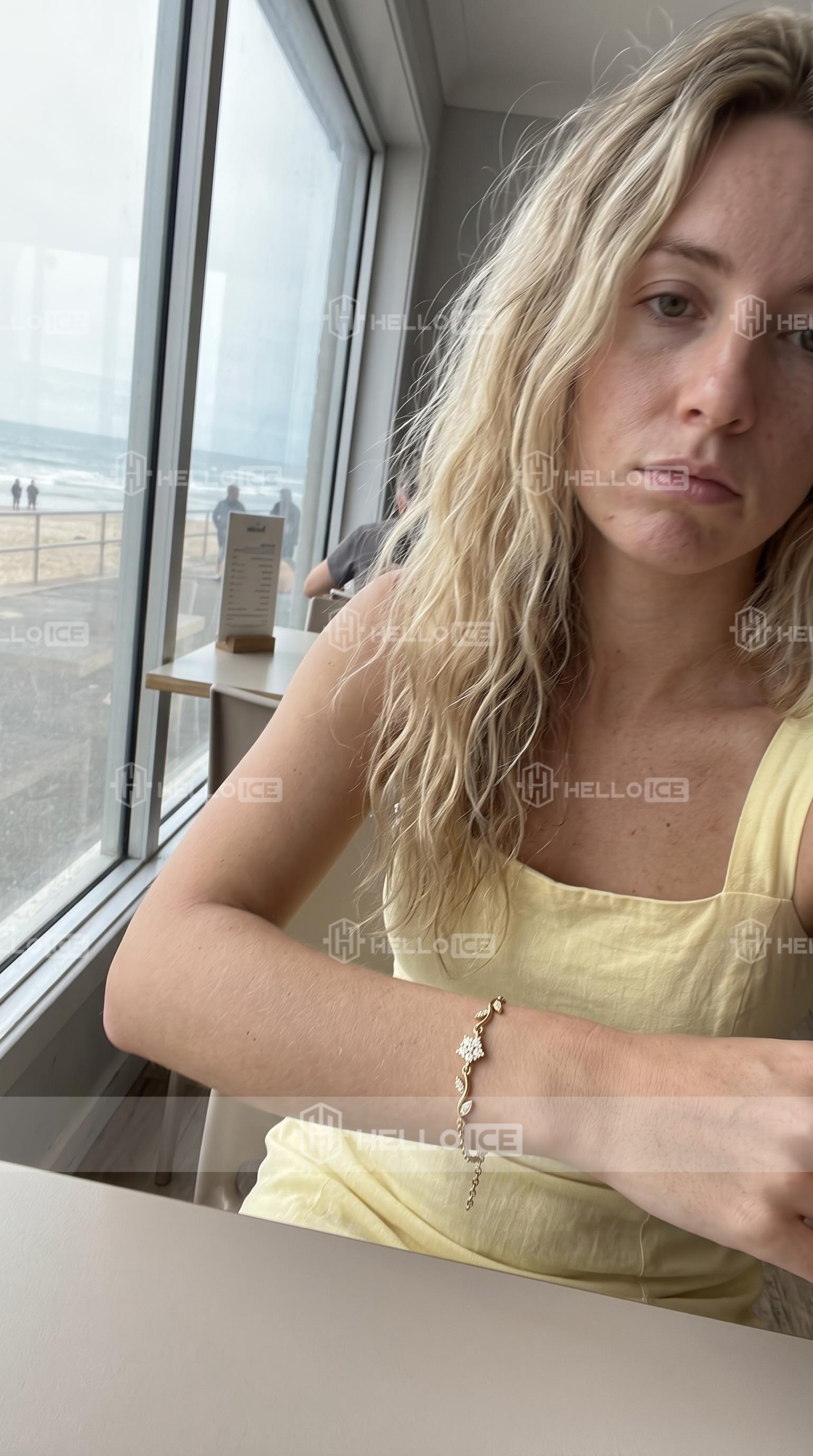 Helloice Review Image