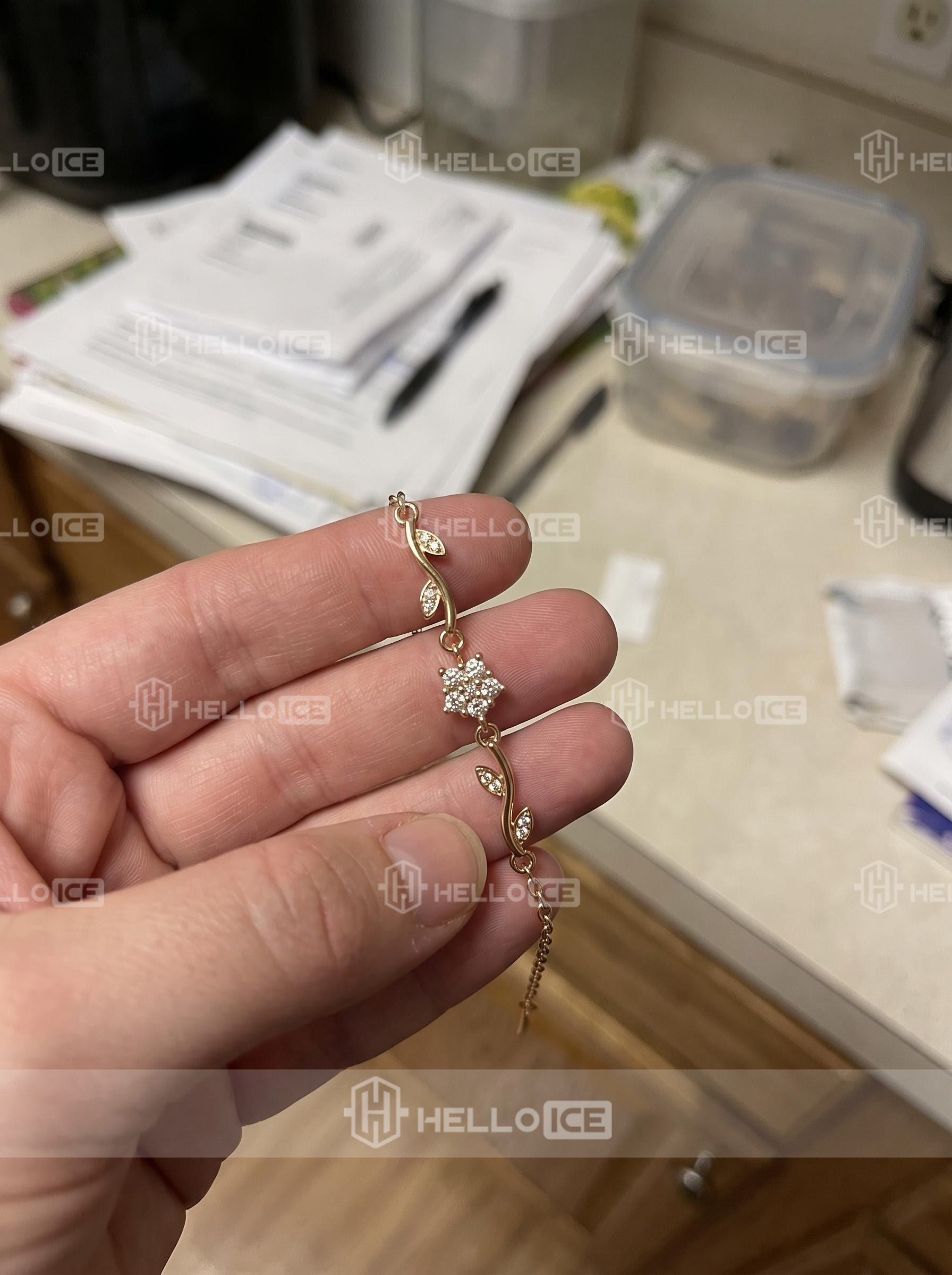 Helloice Review Image