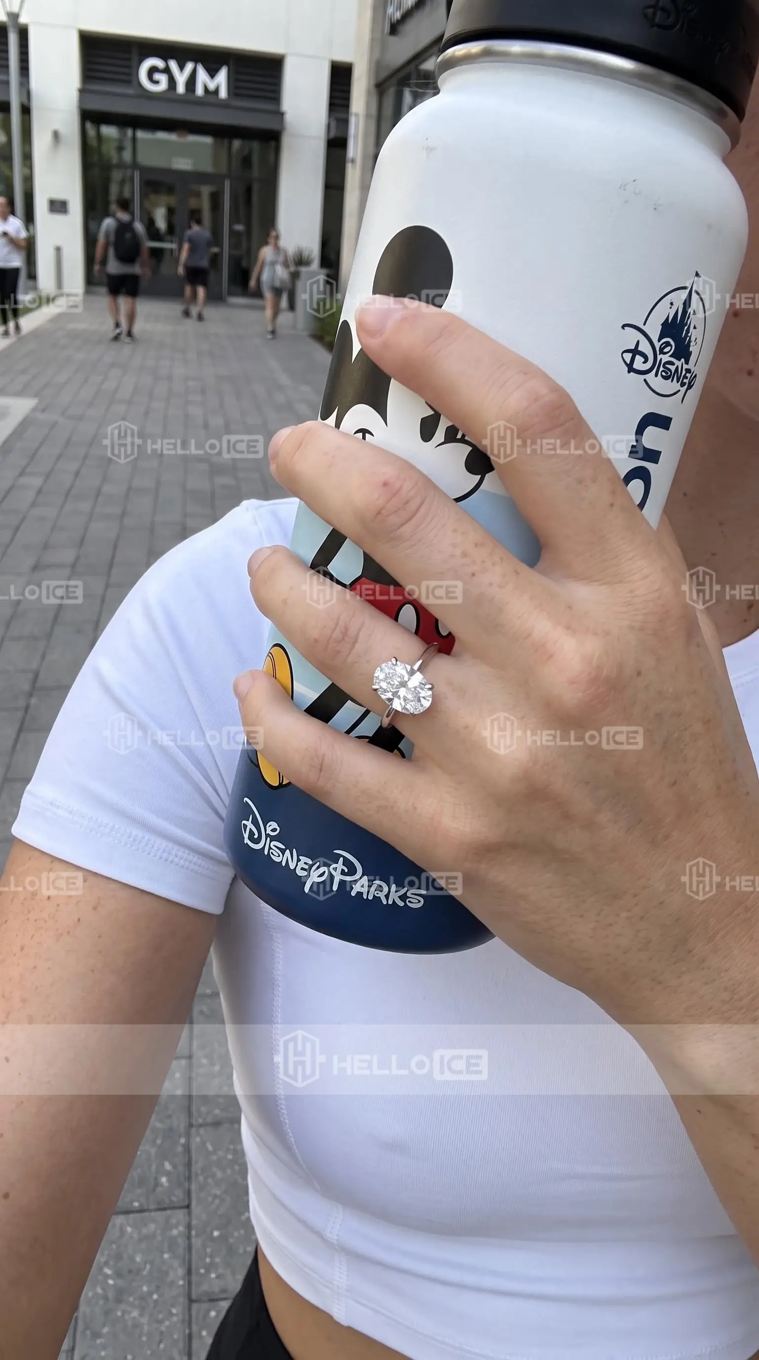 Helloice Review Image
