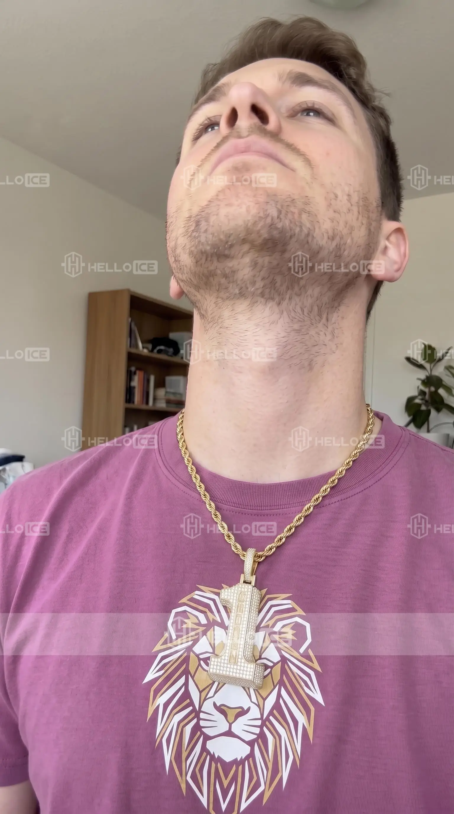 Helloice Review Image