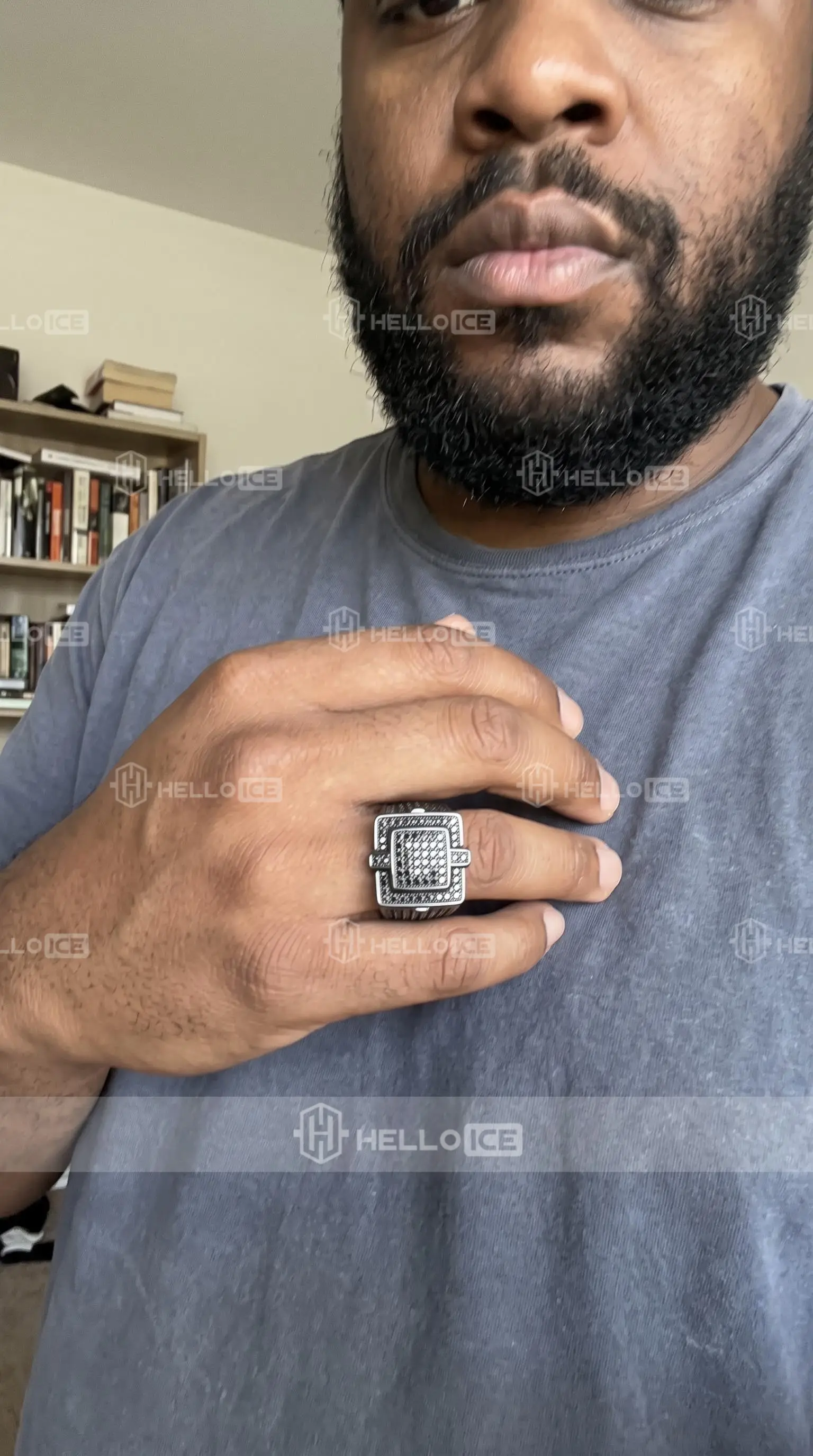 Helloice Review Image