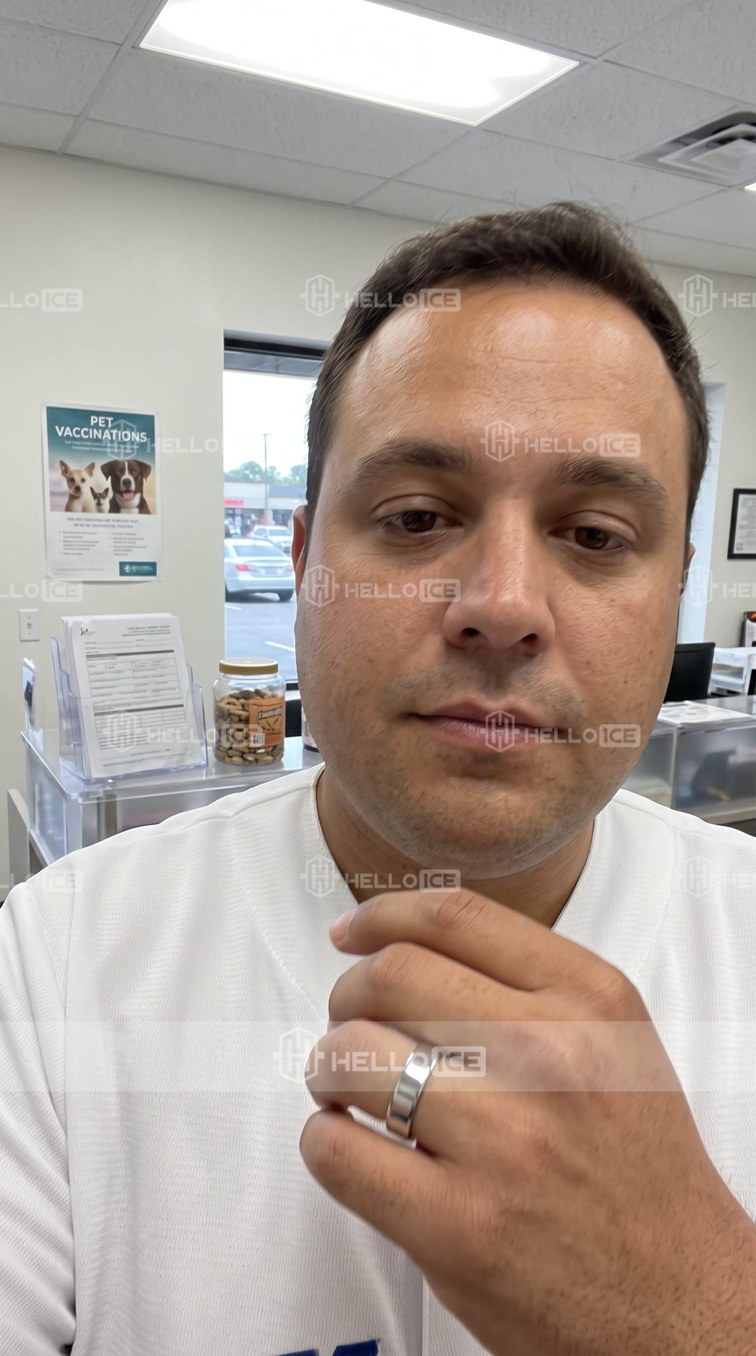 Helloice Review Image