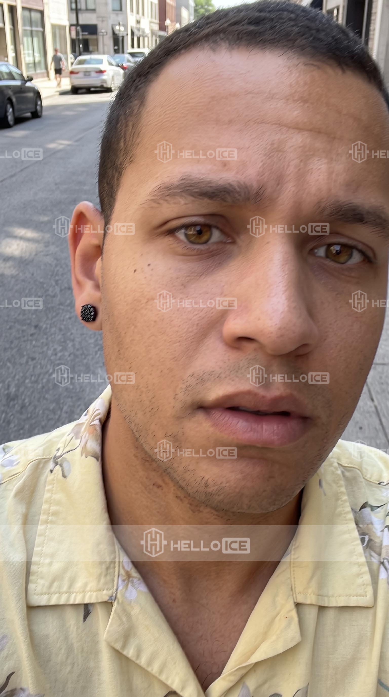 Helloice Review Image