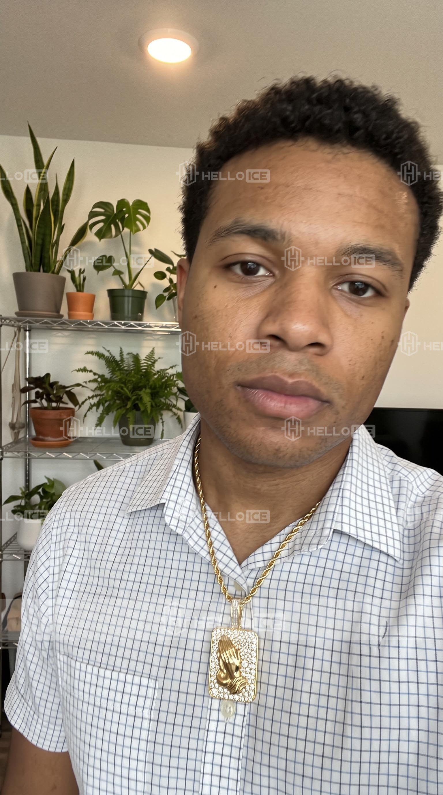 Helloice Review Image
