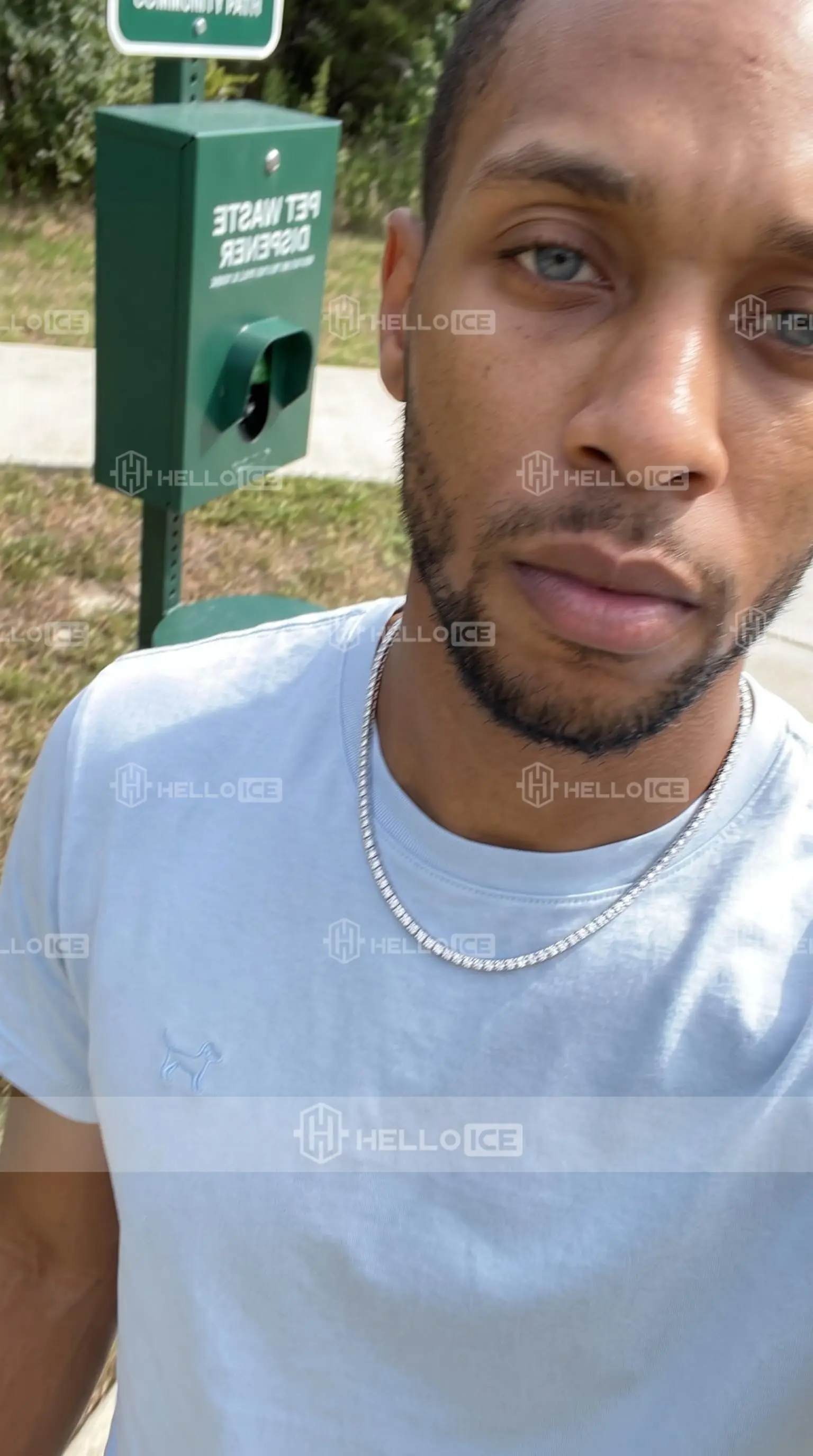 Helloice Review Image