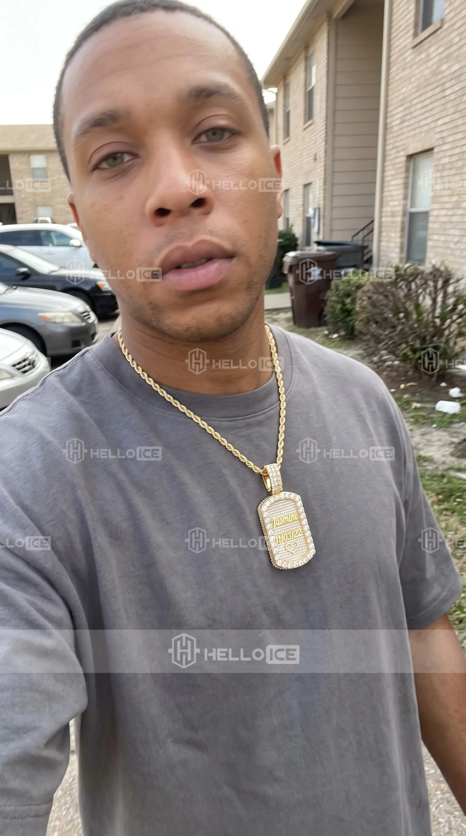 Helloice Review Image