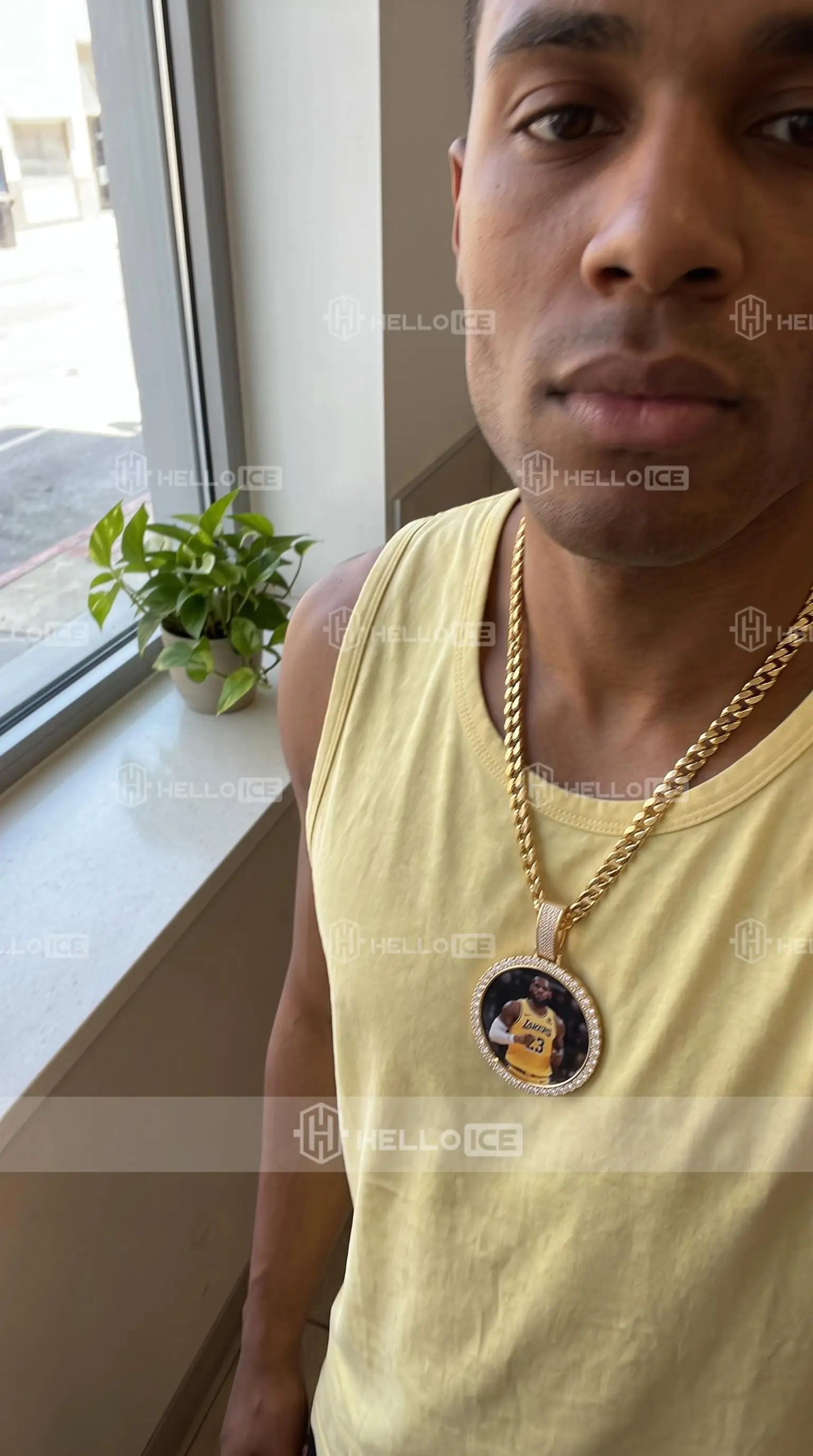 Helloice Review Image