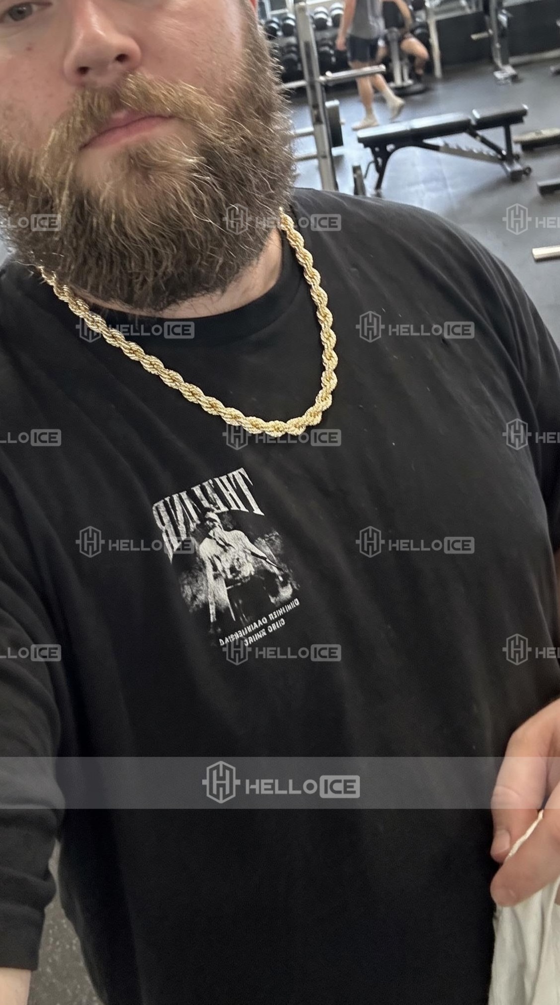 Helloice Review Image