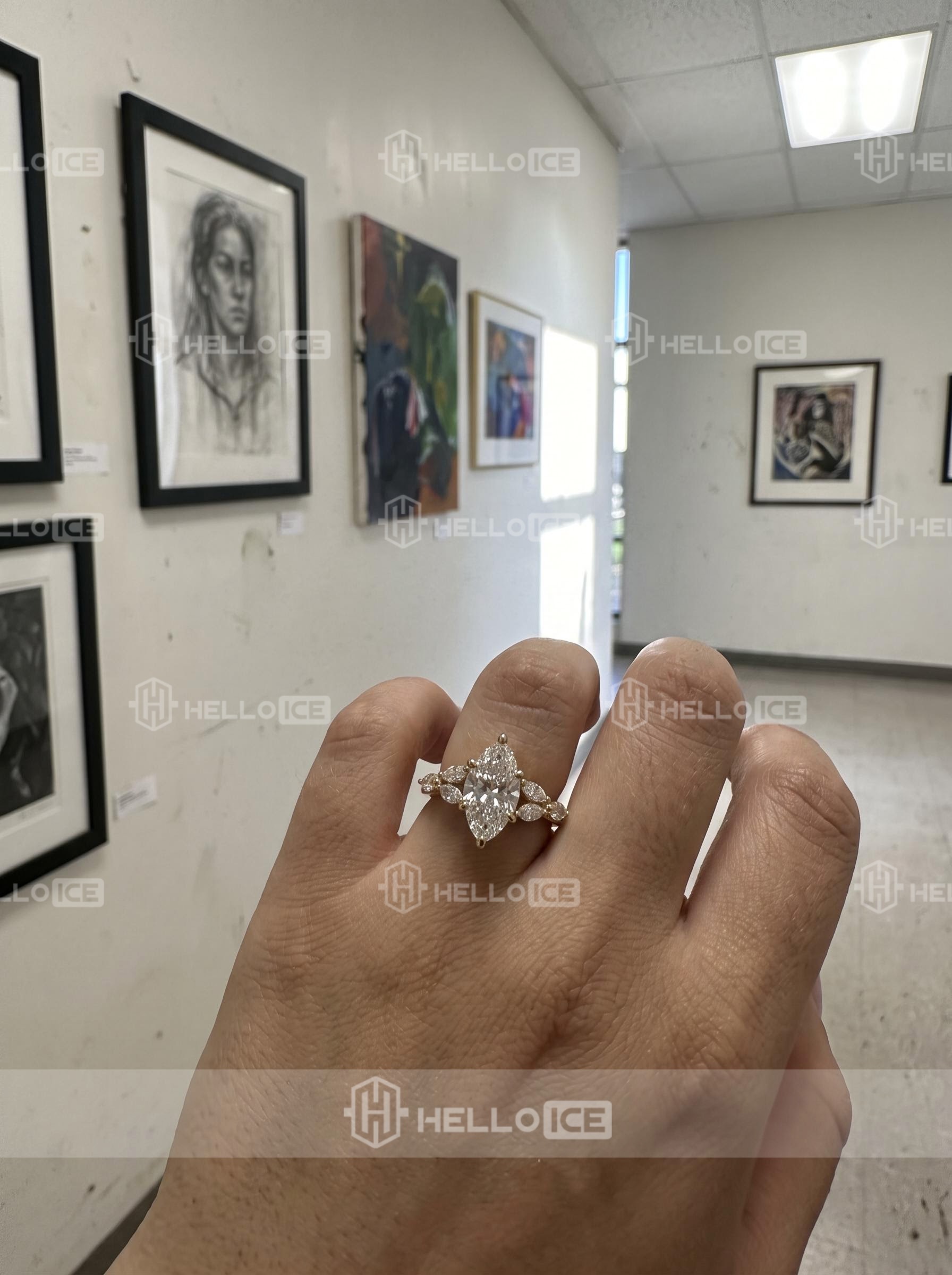 Helloice Review Image
