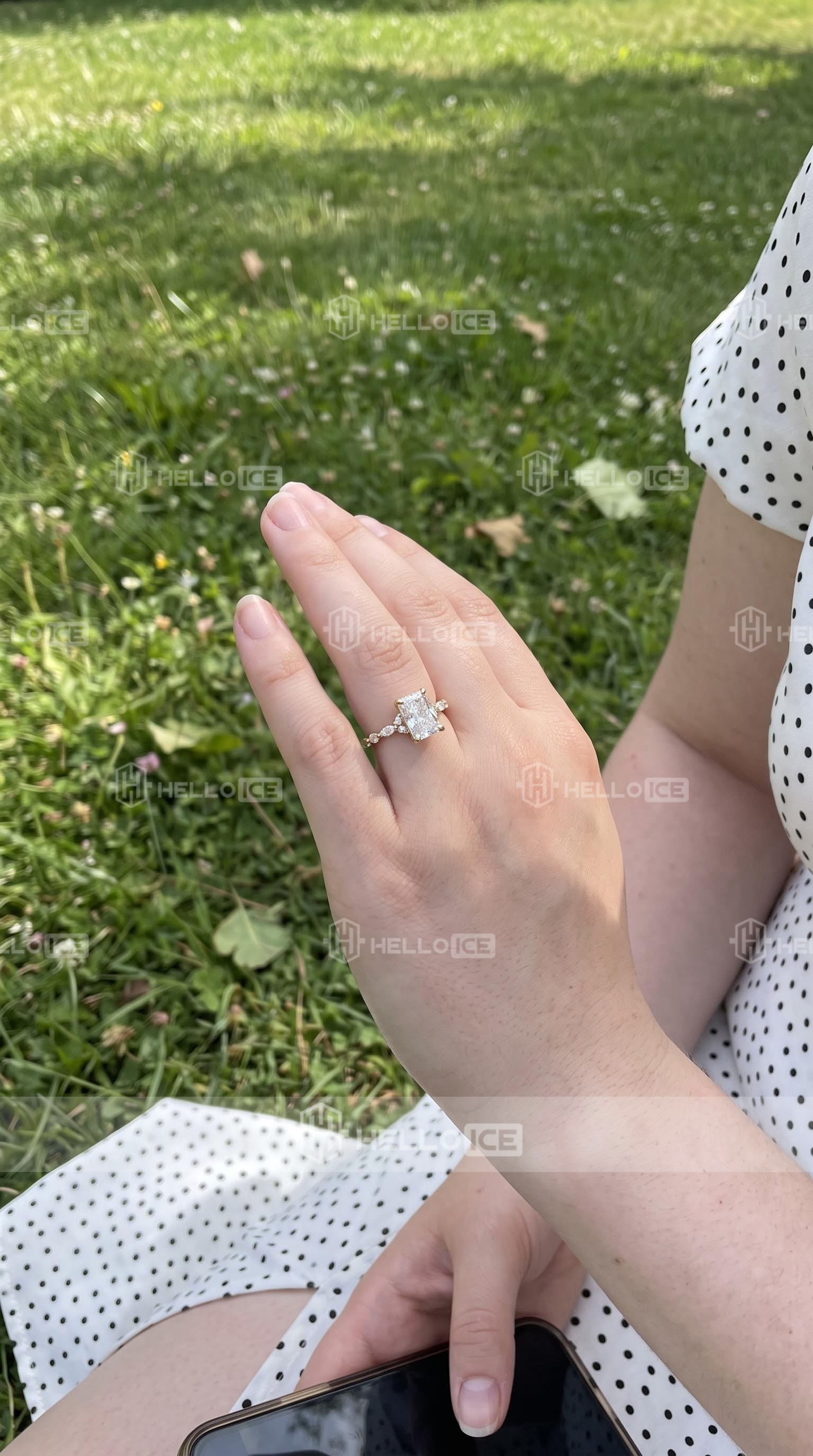 Helloice Review Image