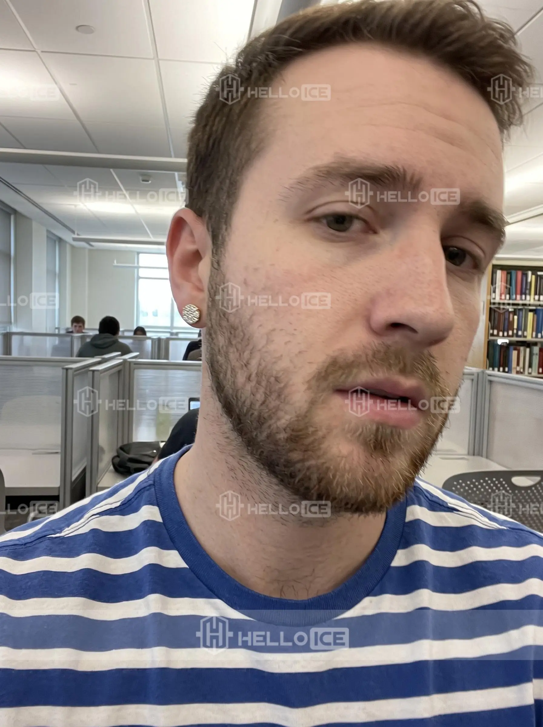 Helloice Review Image