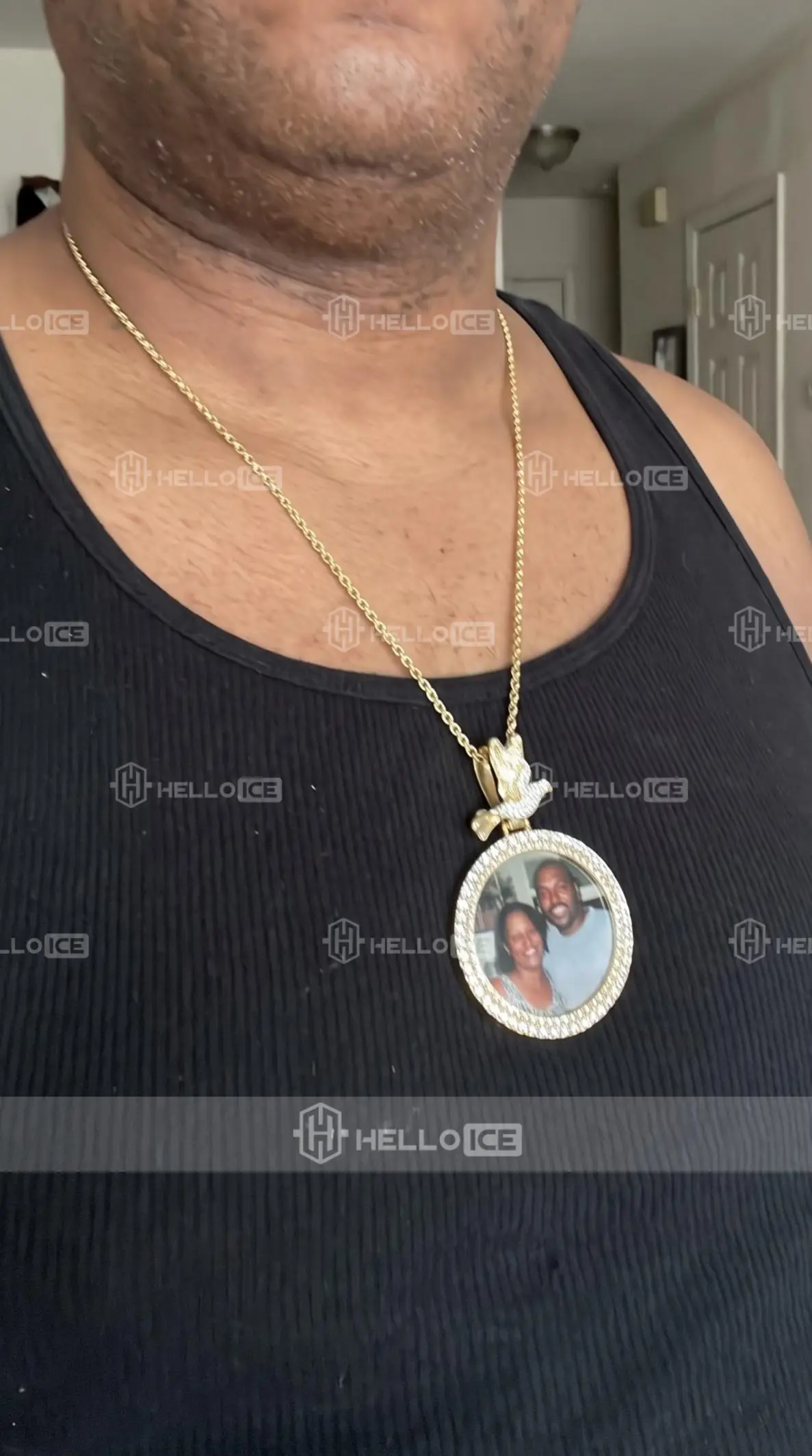 Helloice Review Image