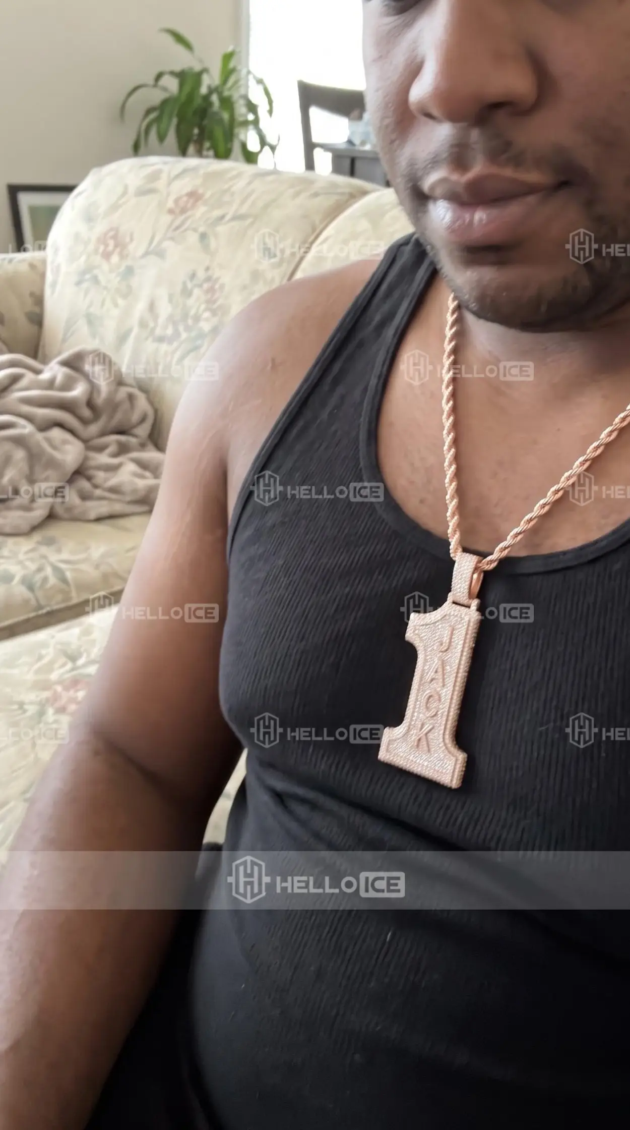 Helloice Review Image