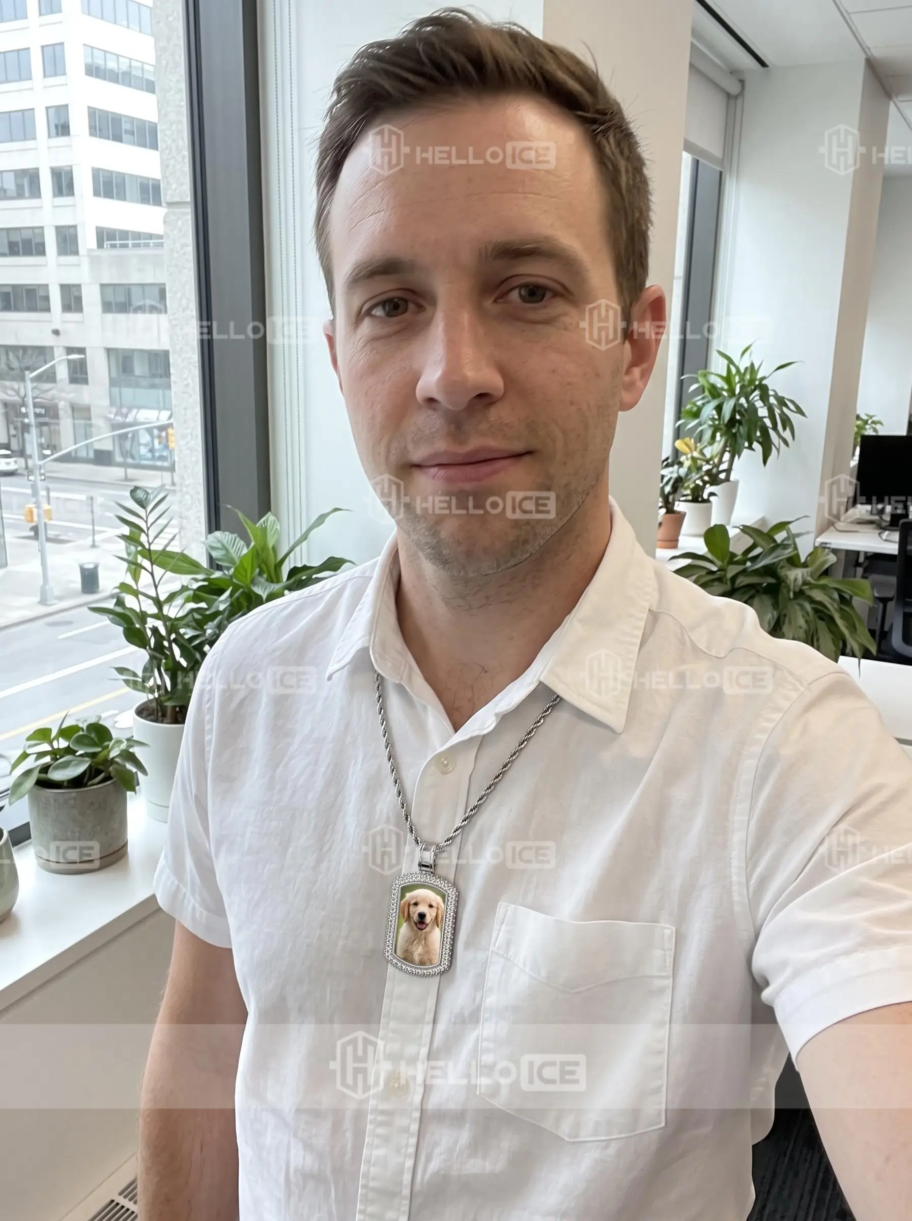 Helloice Review Image