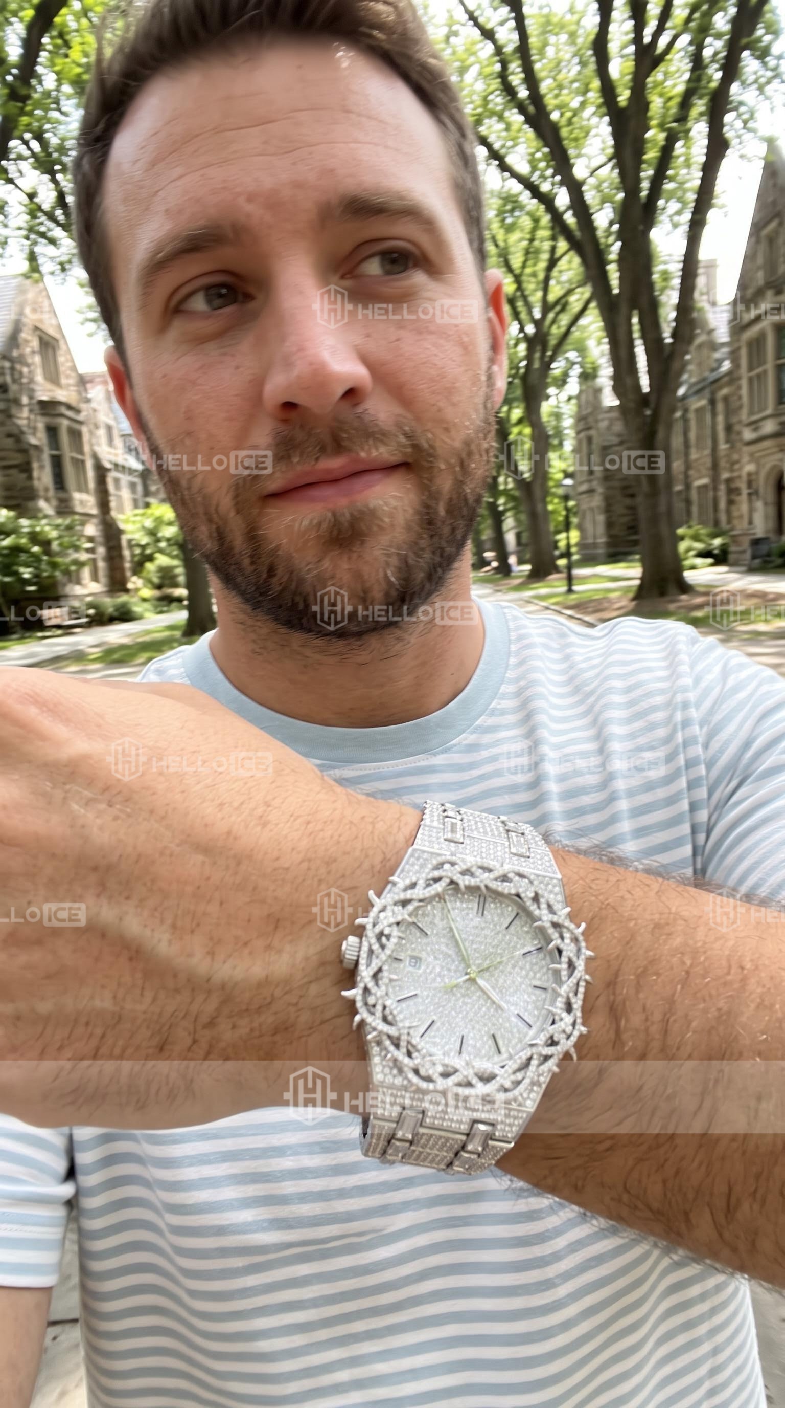 Helloice Review Image