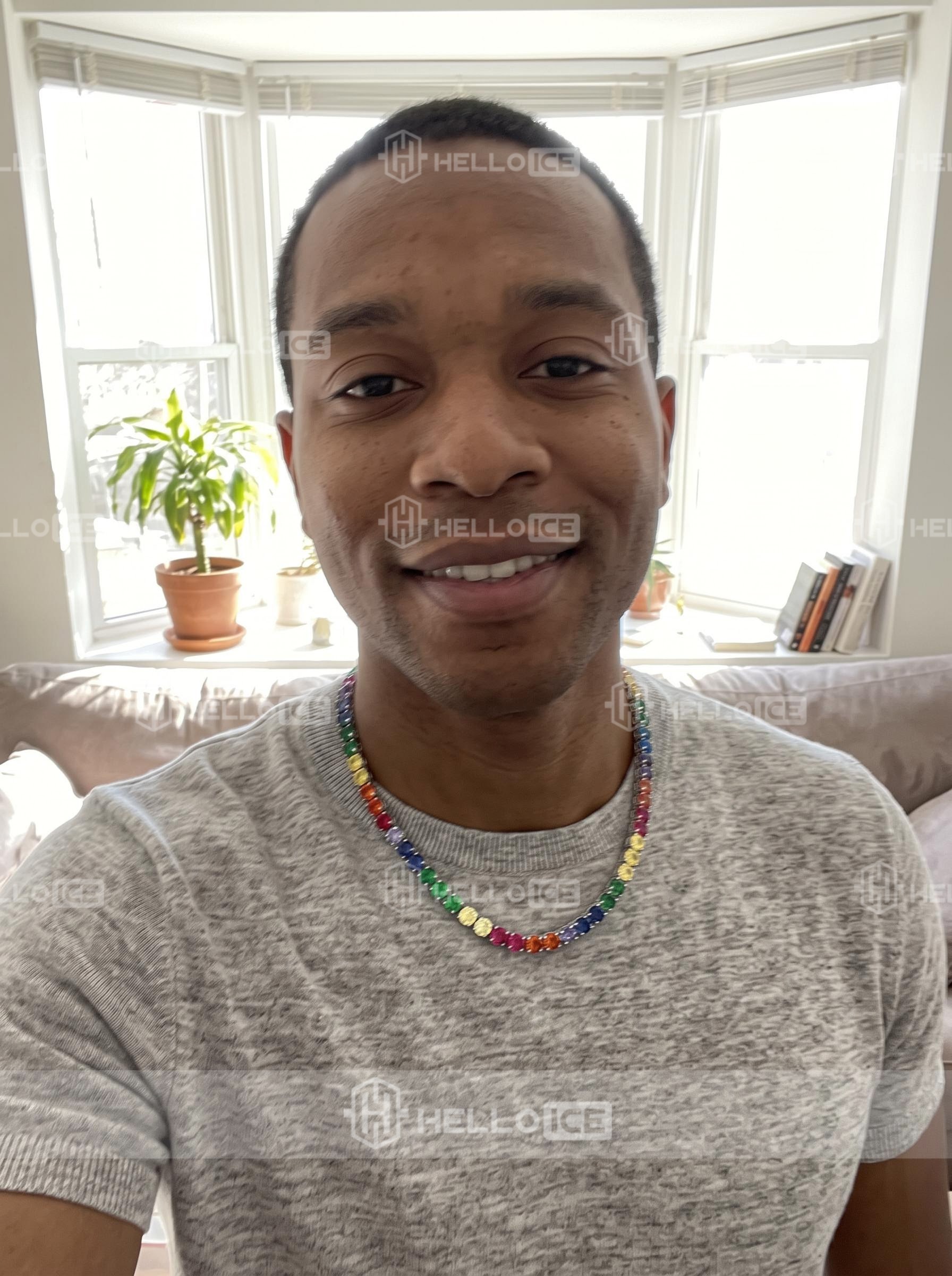 Helloice Review Image