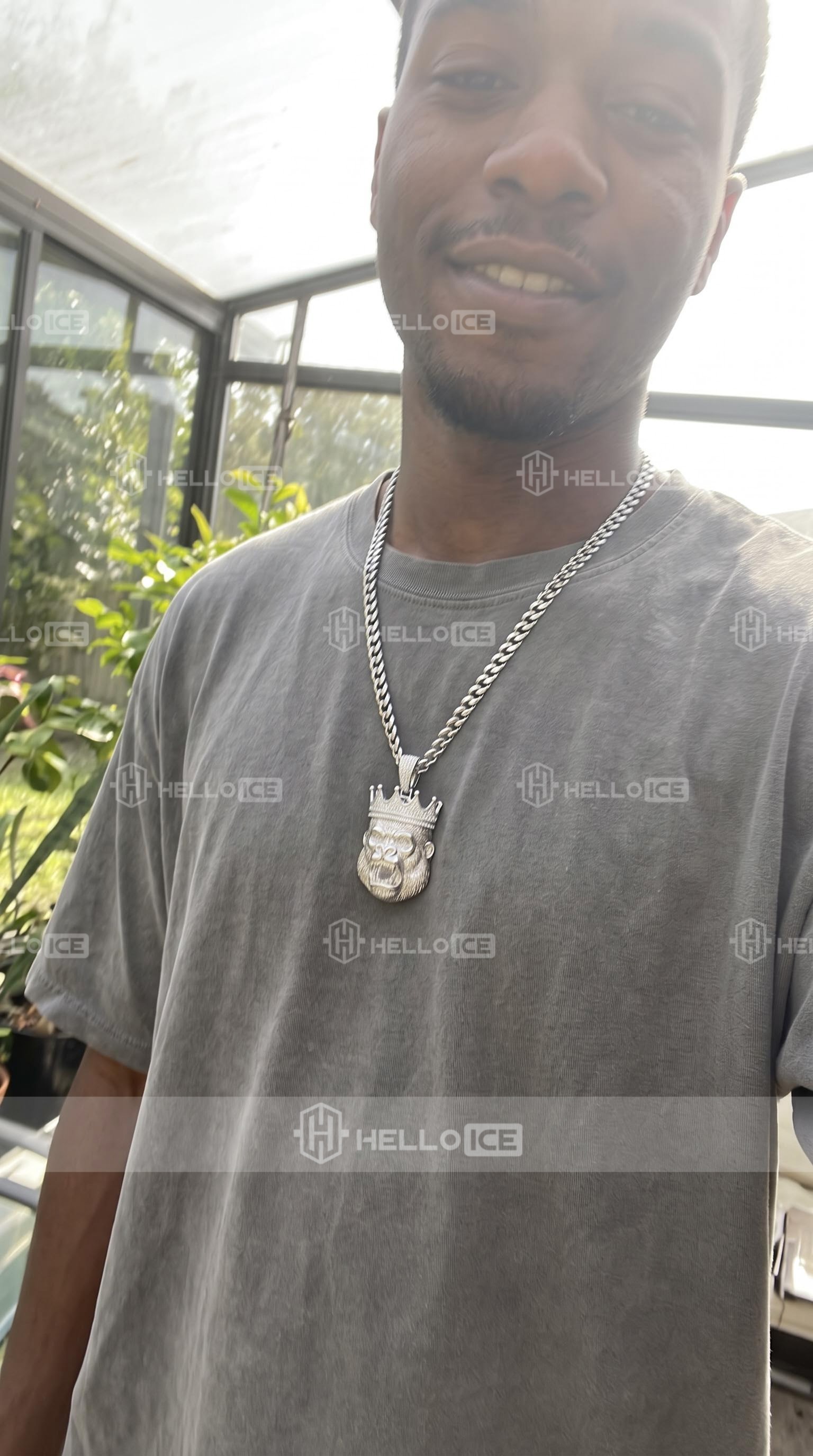 Helloice Review Image