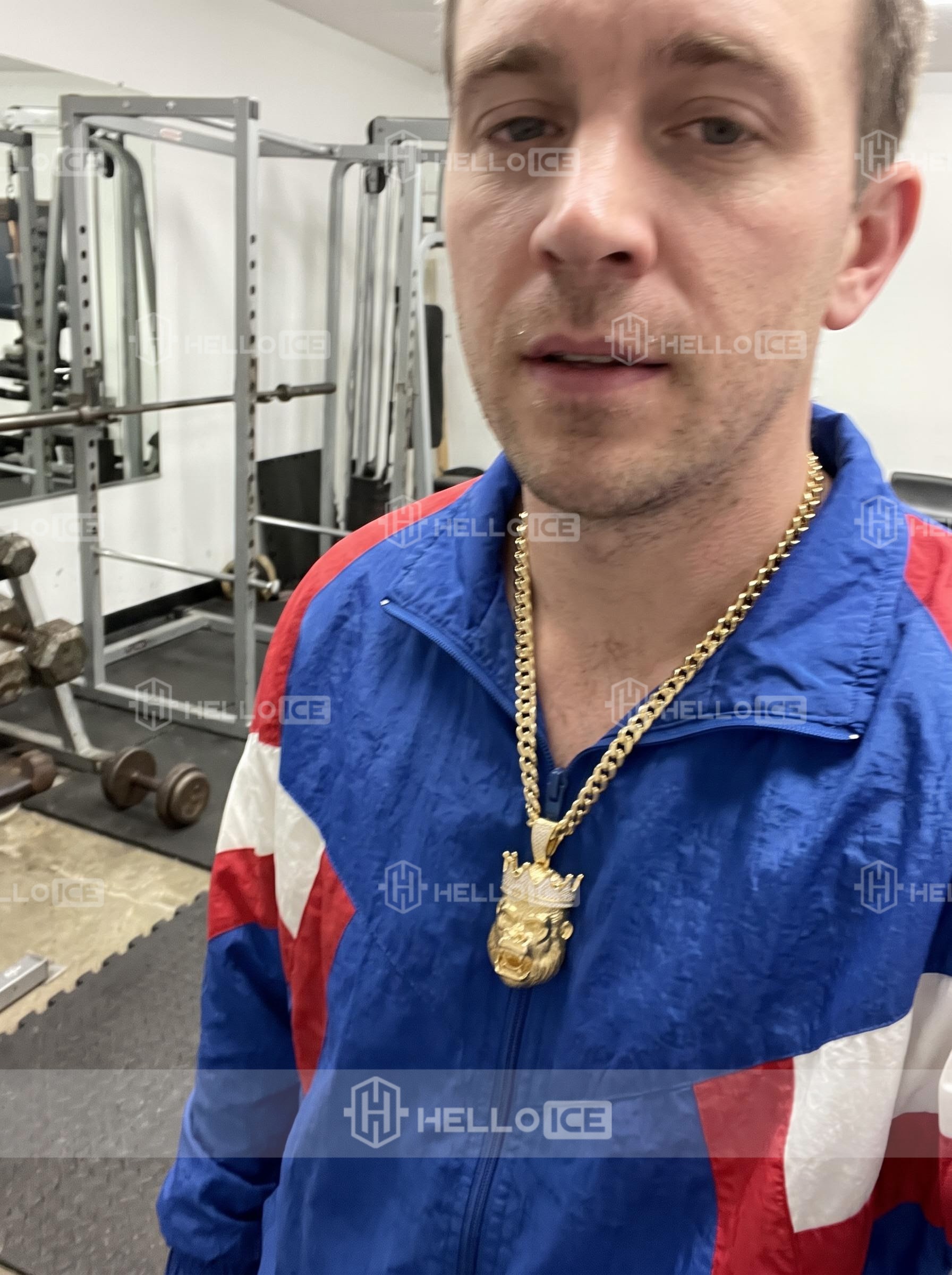 Helloice Review Image